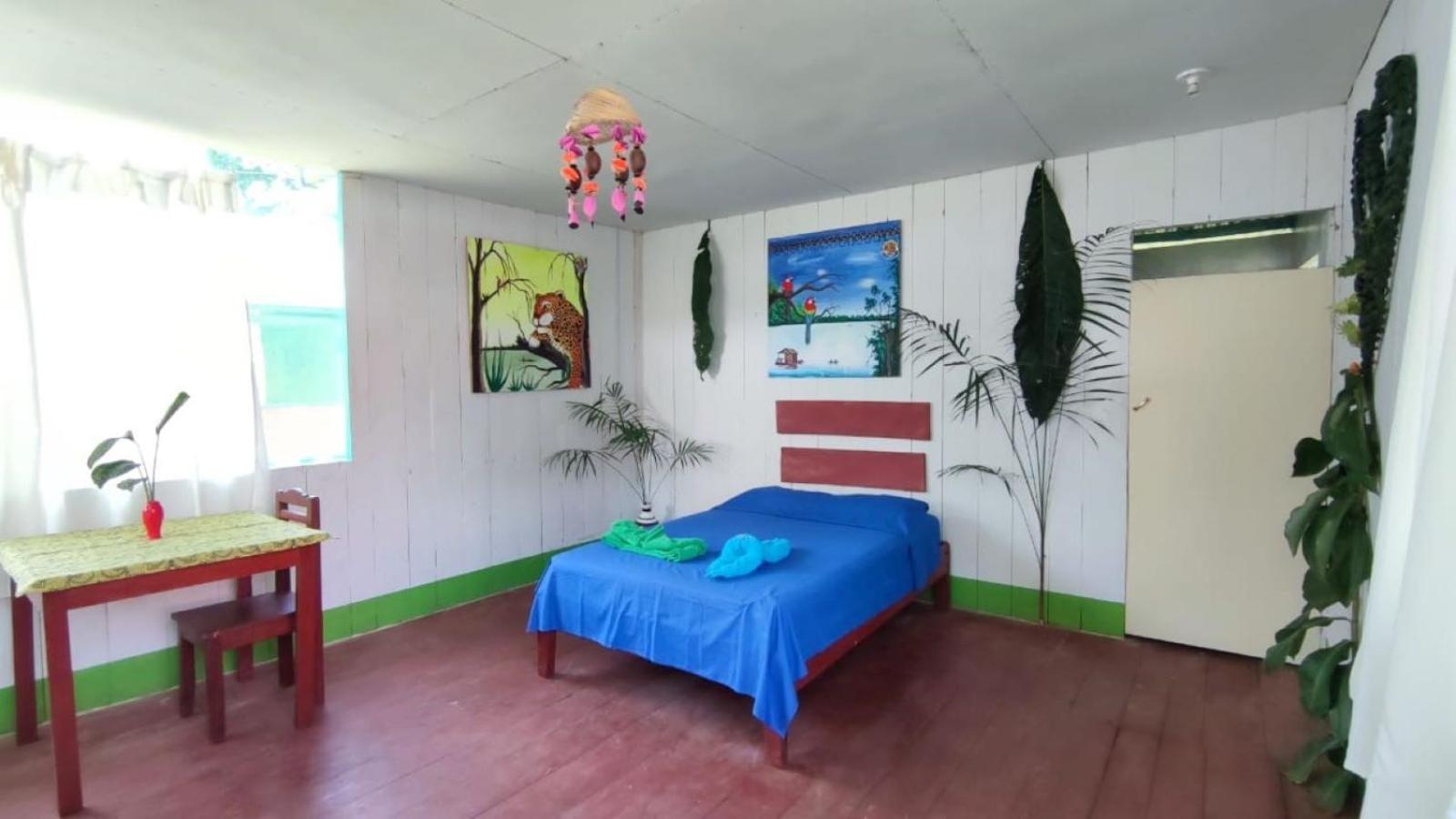 Single Room photo 1
