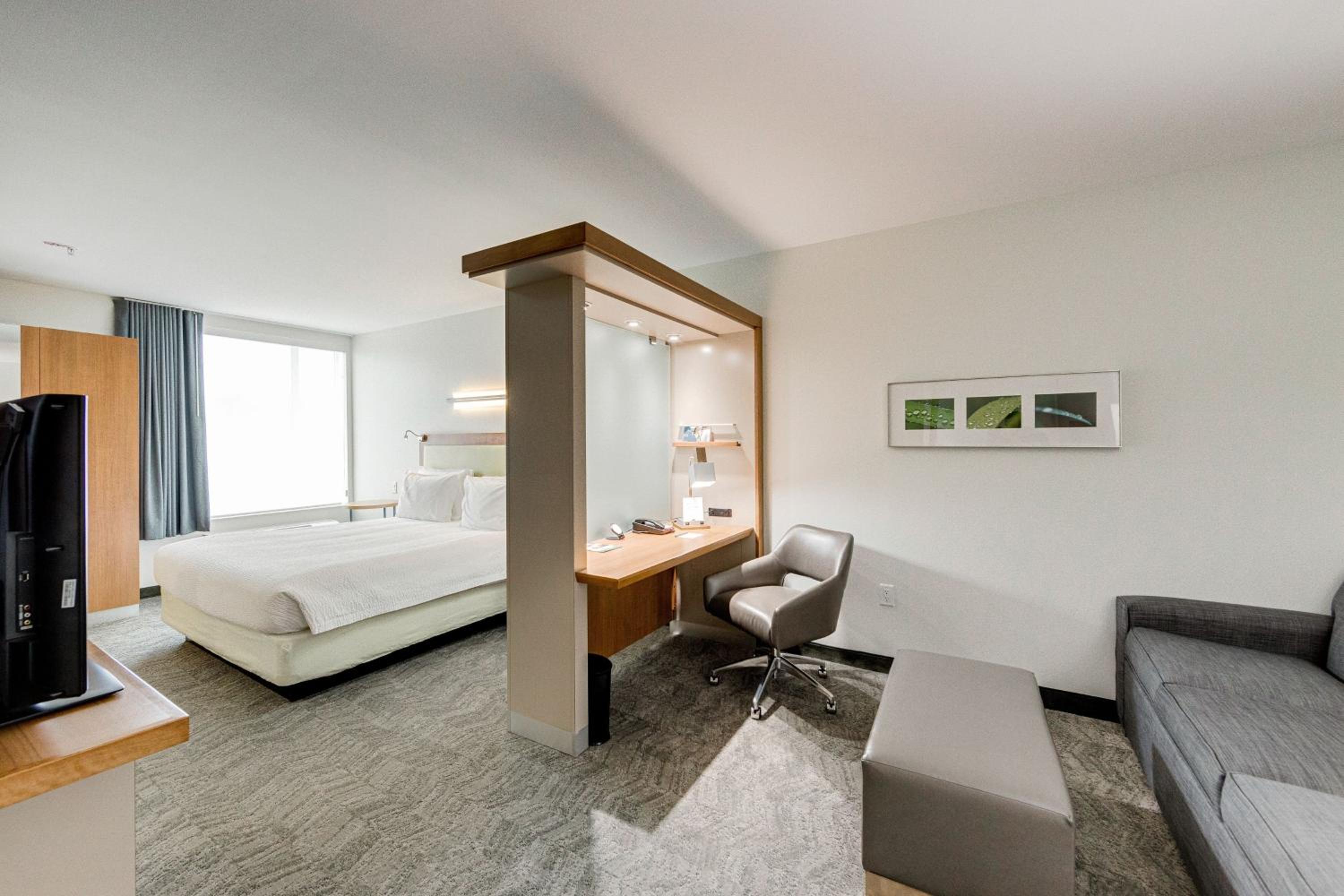 King Suite with Sofa Bed - Hearing Accessible - Photo 1