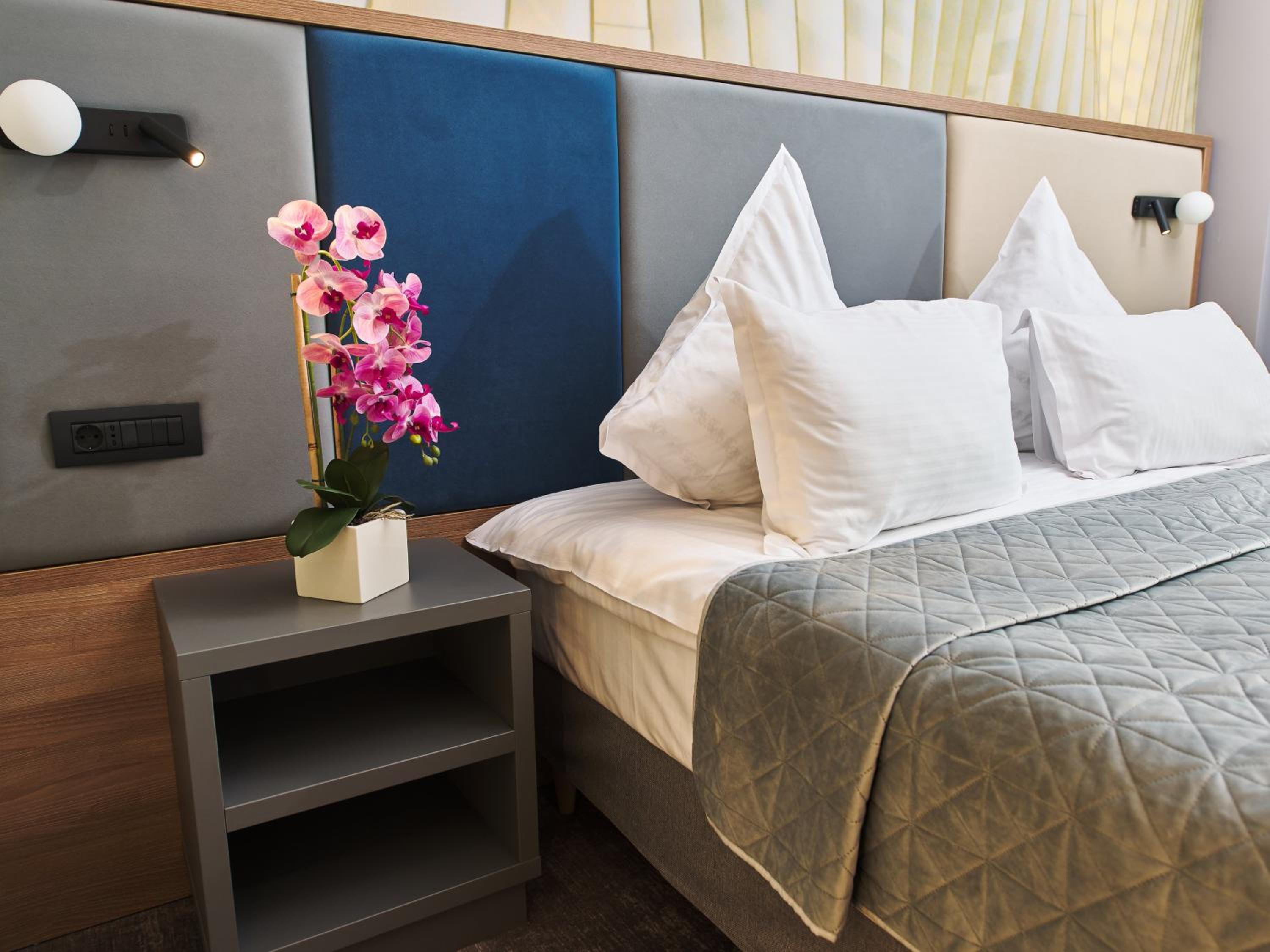 Deluxe Double or Twin Room - Photo 6