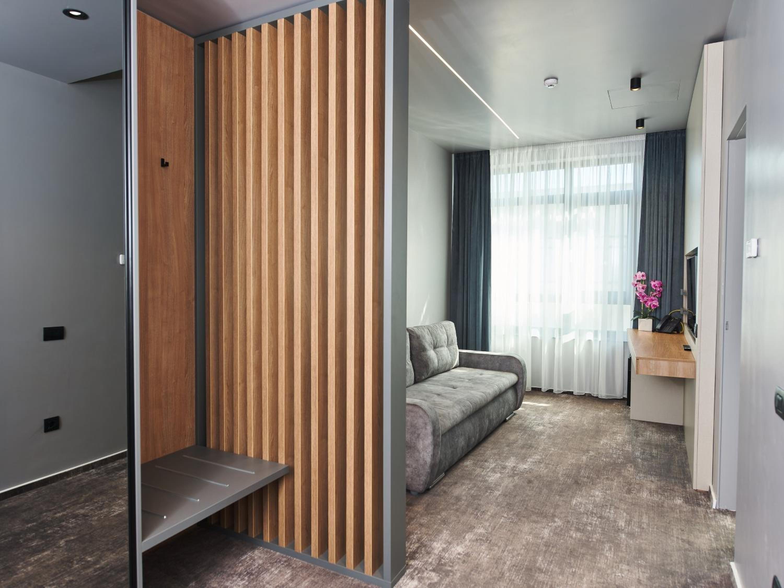 Deluxe King Suite - Photo 9