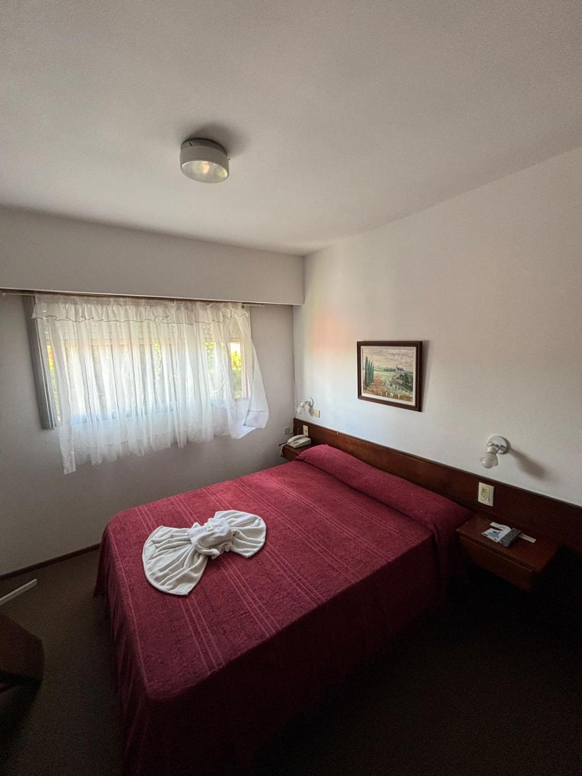 Large Single Room photo 2