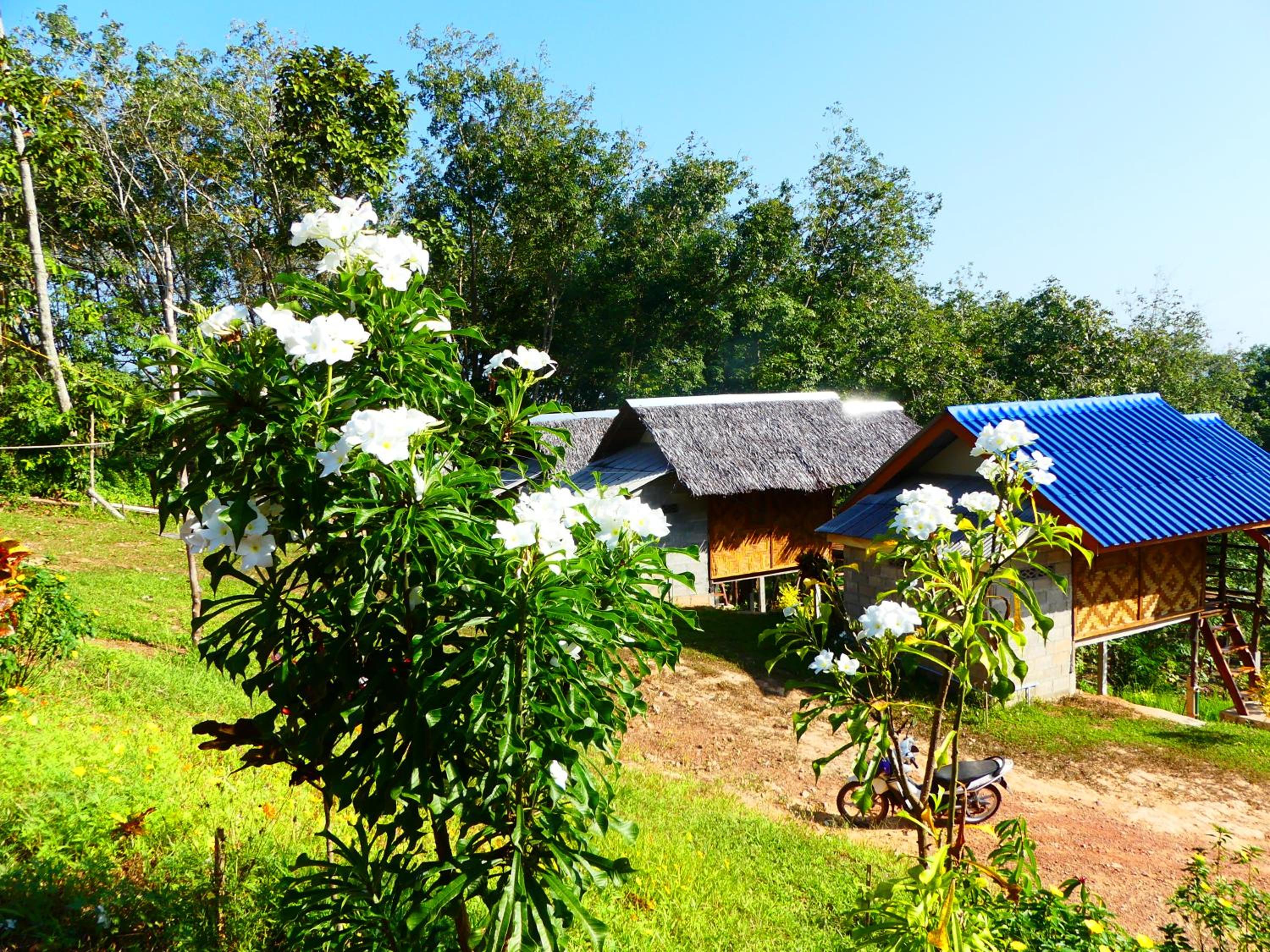 Bungalow with Garden View photo 2