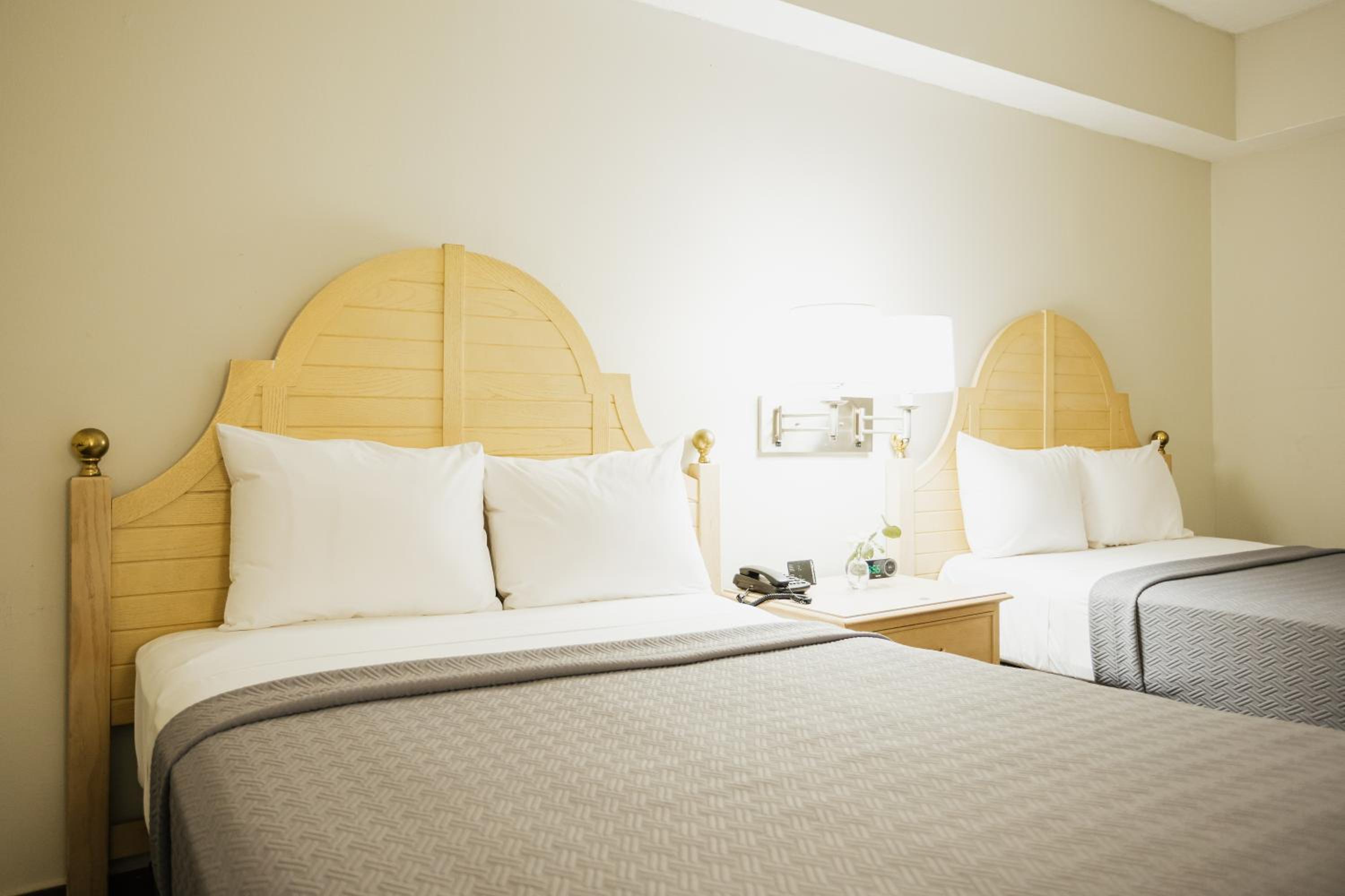 Family Suite photo 2