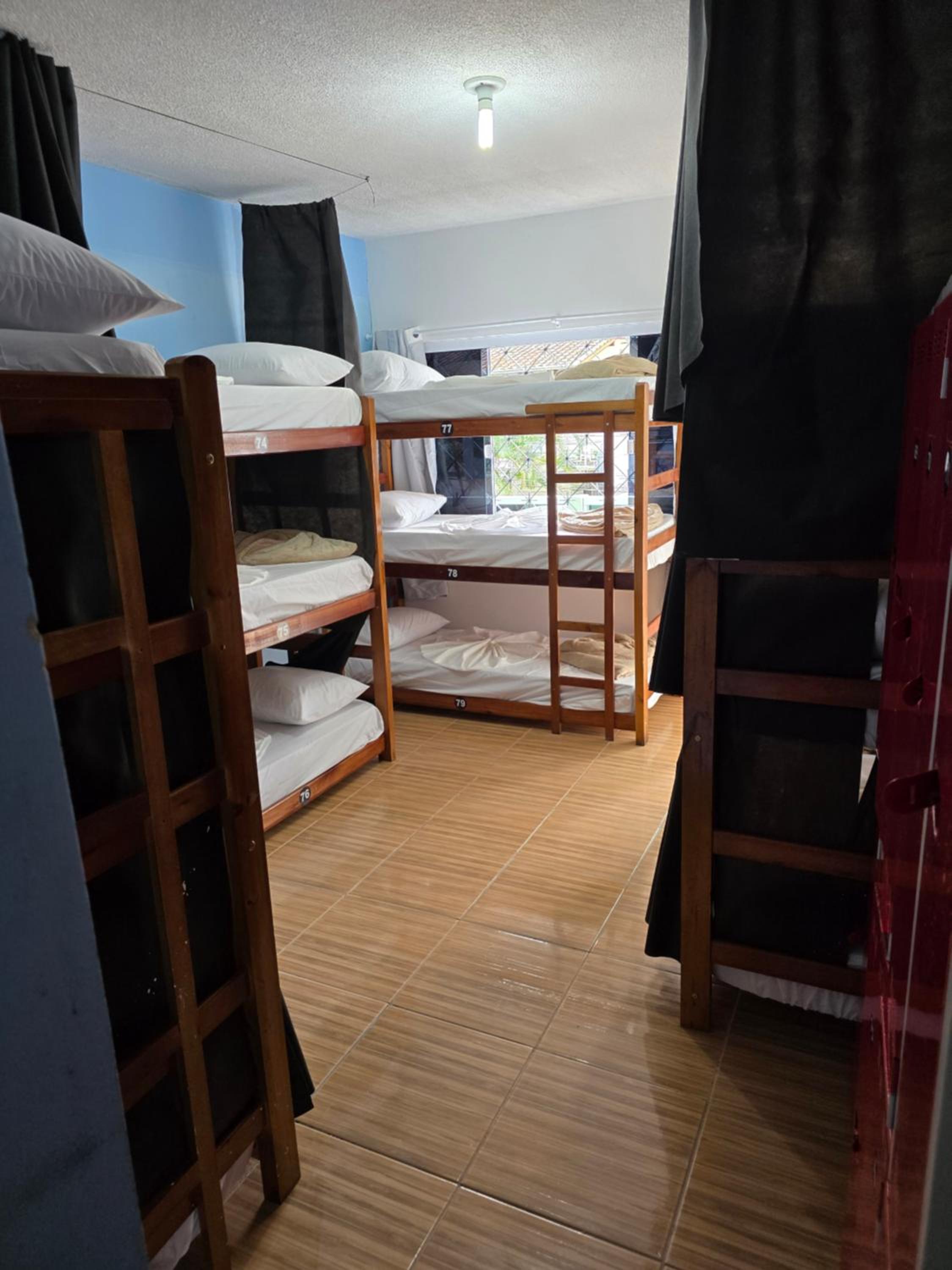 Bunk Bed in Mixed Dormitory Room photo 1