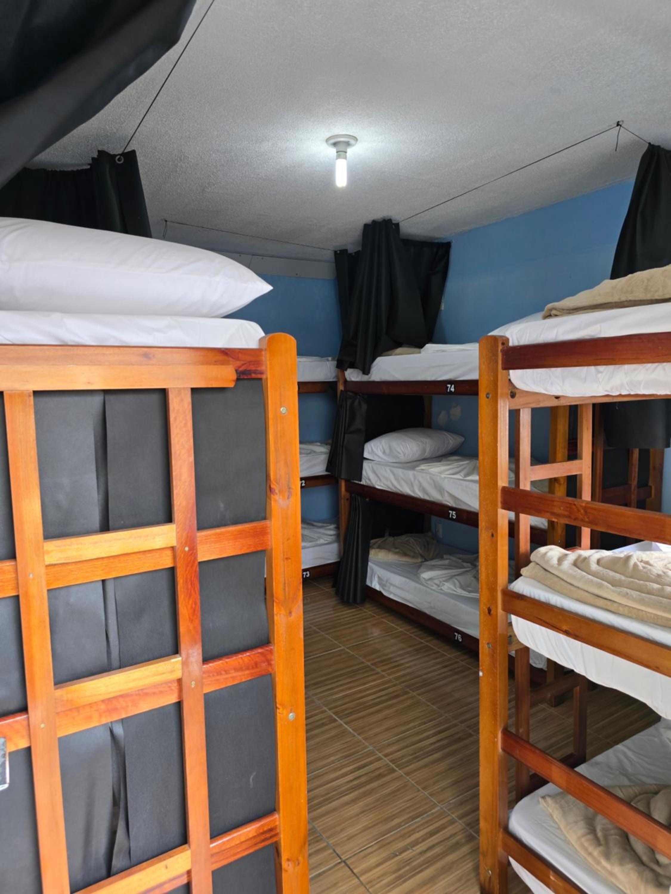 Bunk Bed in Mixed Dormitory Room photo 2