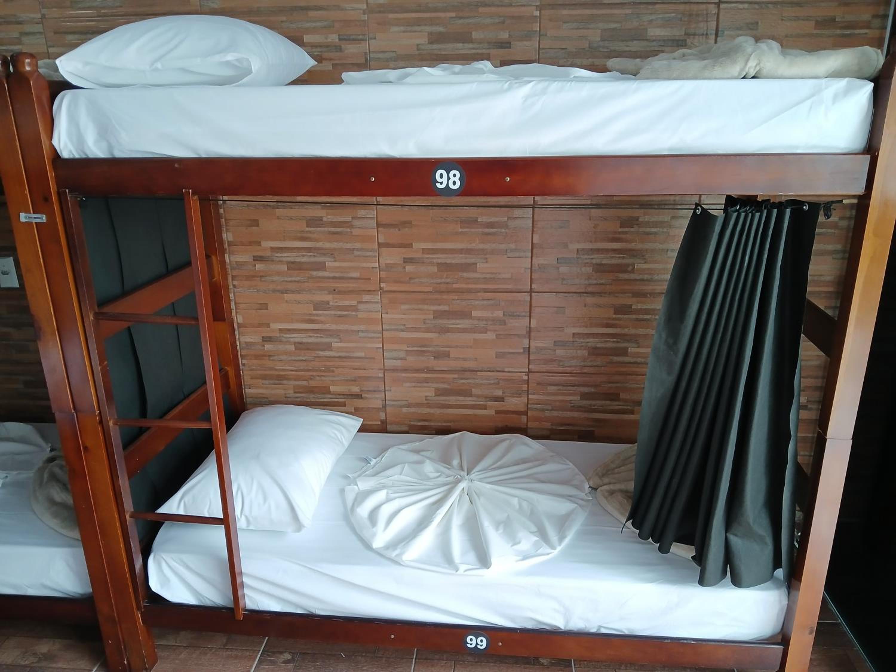 Bunk Bed in Mixed Dormitory Room photo 2