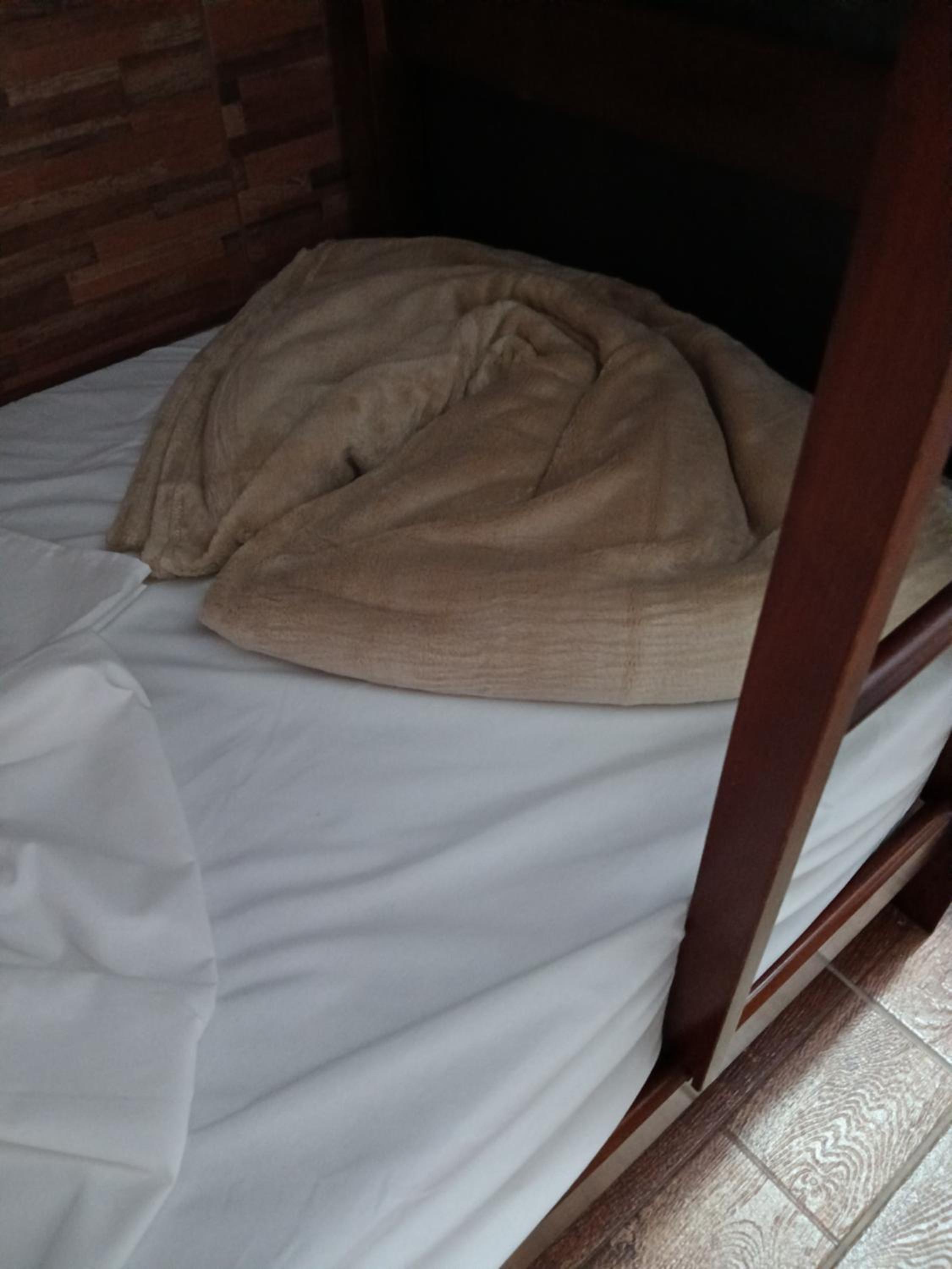 Bunk Bed in Mixed Dormitory Room photo 3