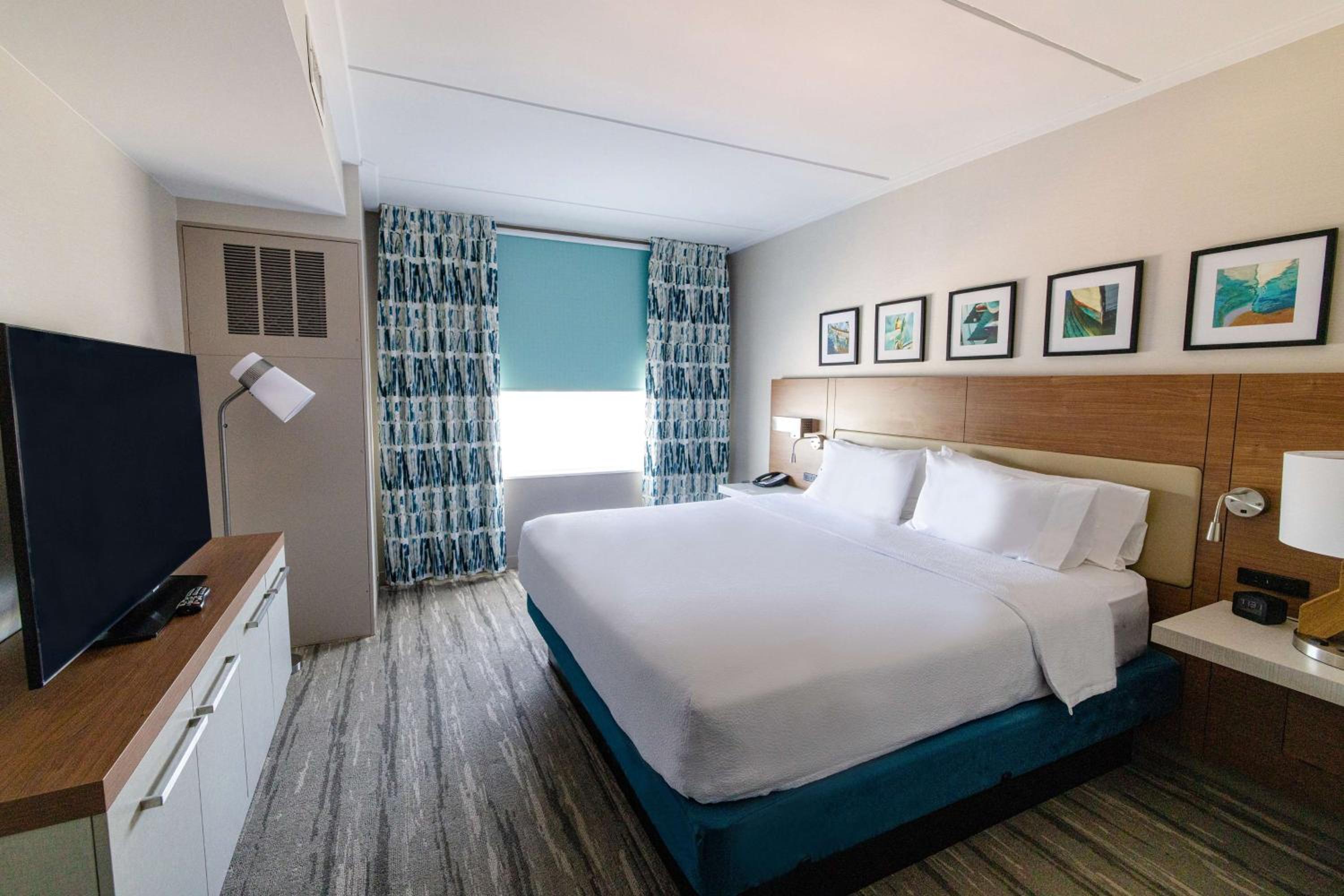 Junior King Suite with Sofa Bed - Photo 5
