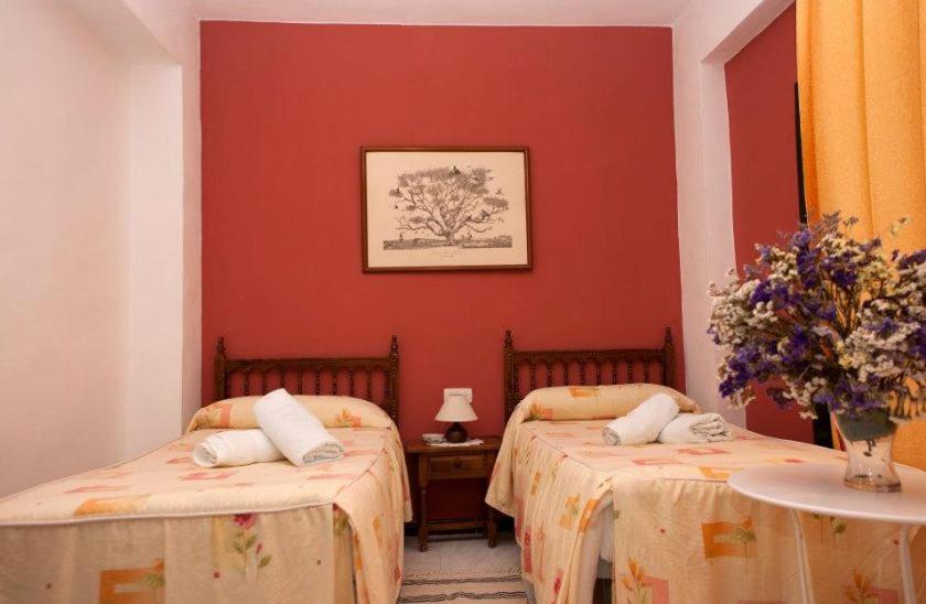 Double or Twin Room photo 3
