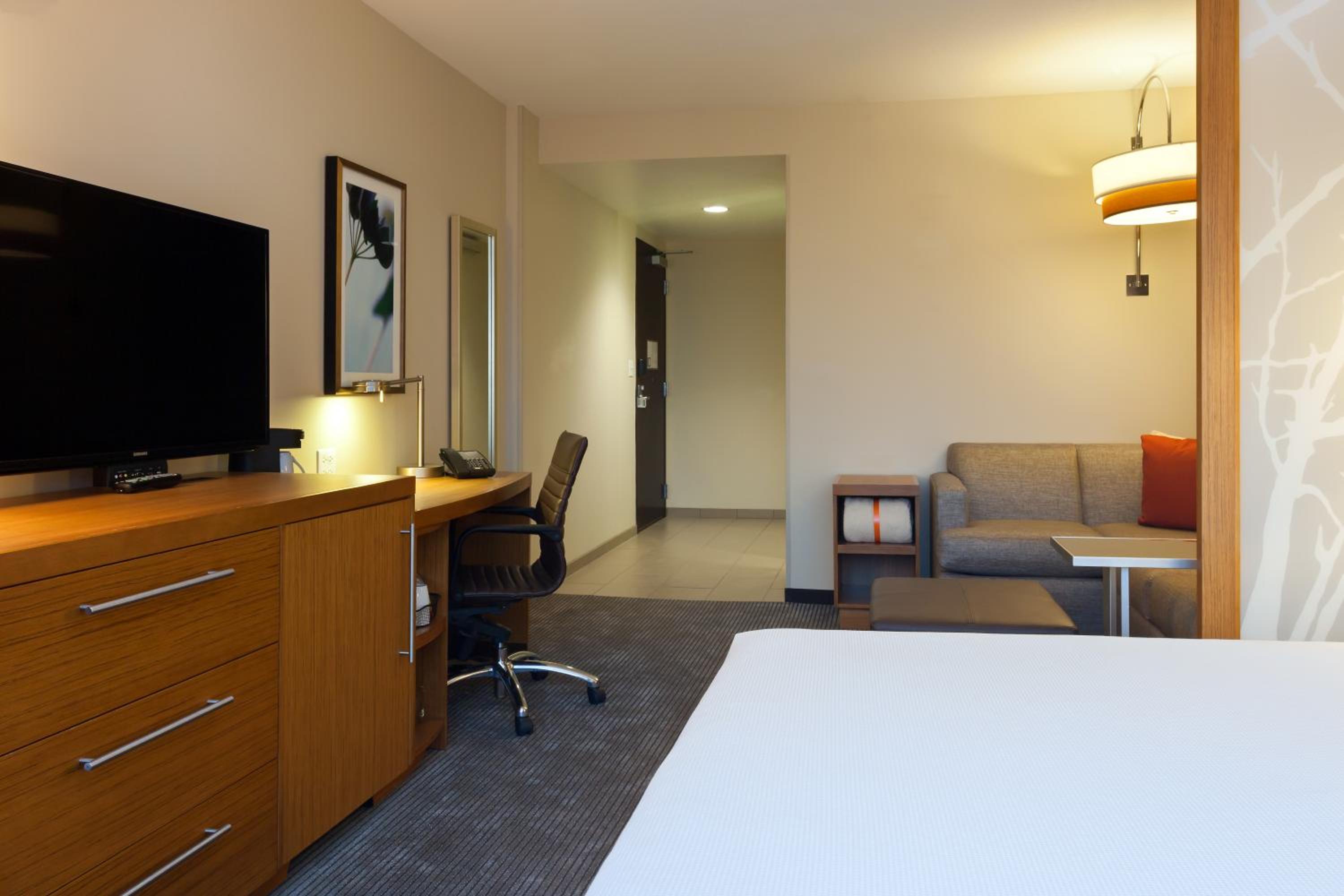 King Room with Sofa Bed and Roll-In Shower - Disability Access