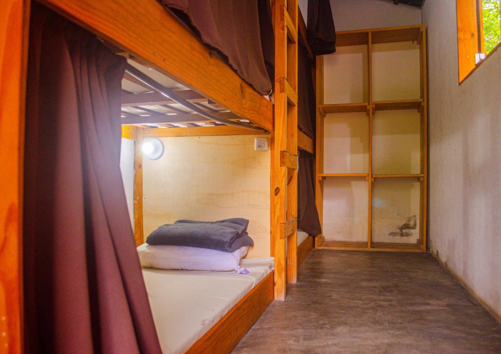 Bunk Bed in Mixed Dormitory Room photo 2