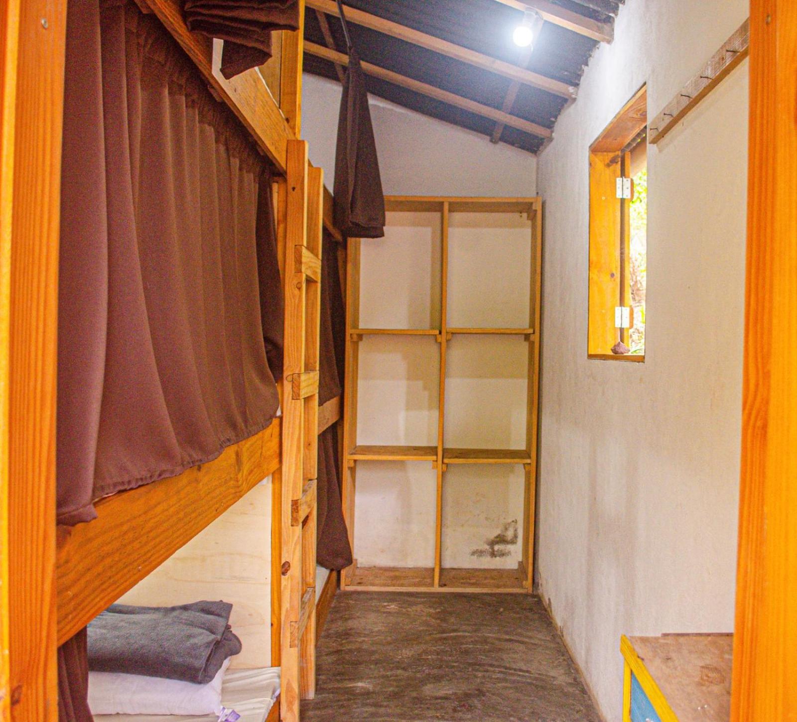 Bunk Bed in Mixed Dormitory Room photo 3