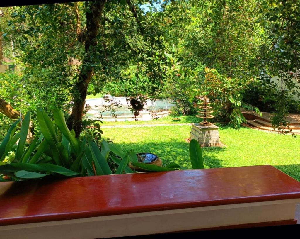 Superior Twin Room with Garden View photo 2