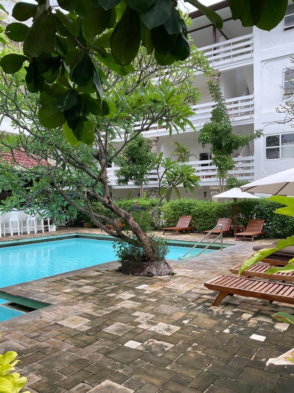 Deluxe Double Room with Garden View photo 1