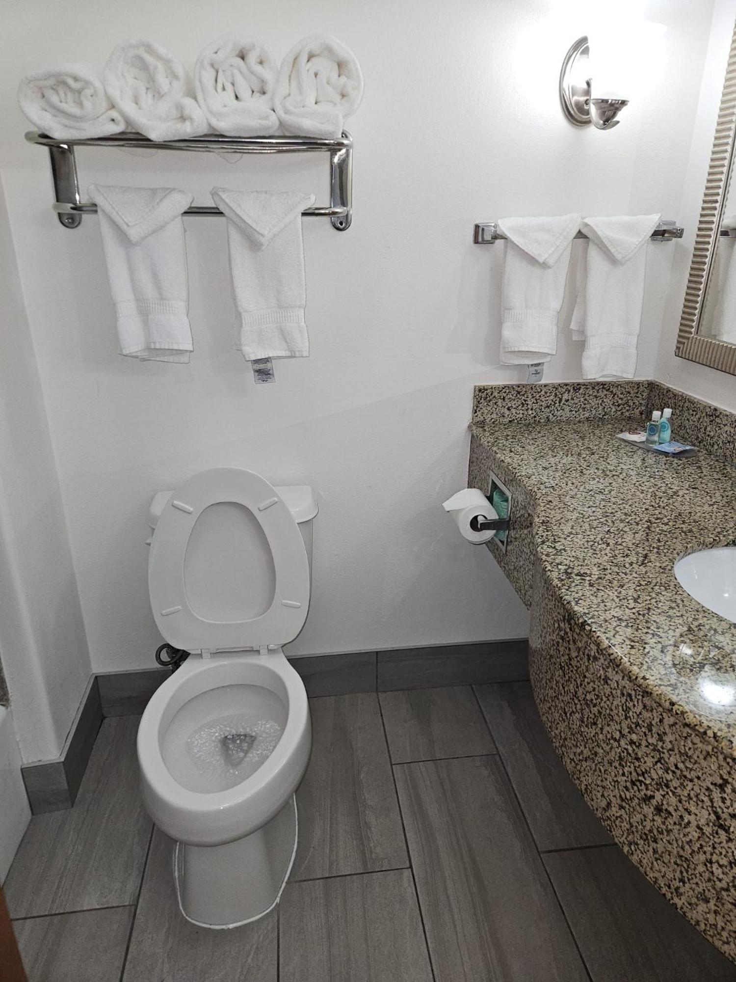 King Suite - Accessible/Non-Smoking - Photo 3