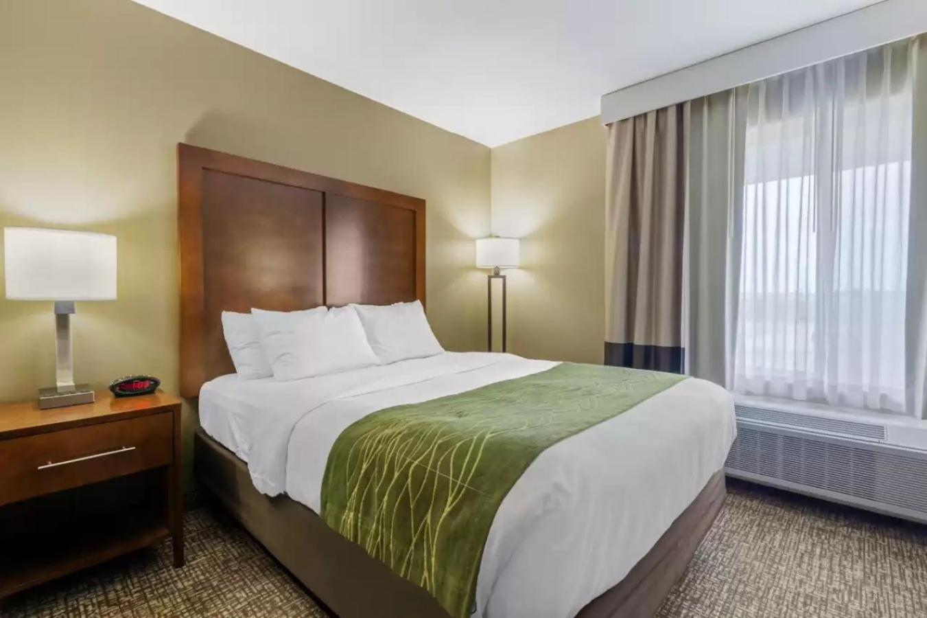 King Room - Non-Smoking - Photo 6