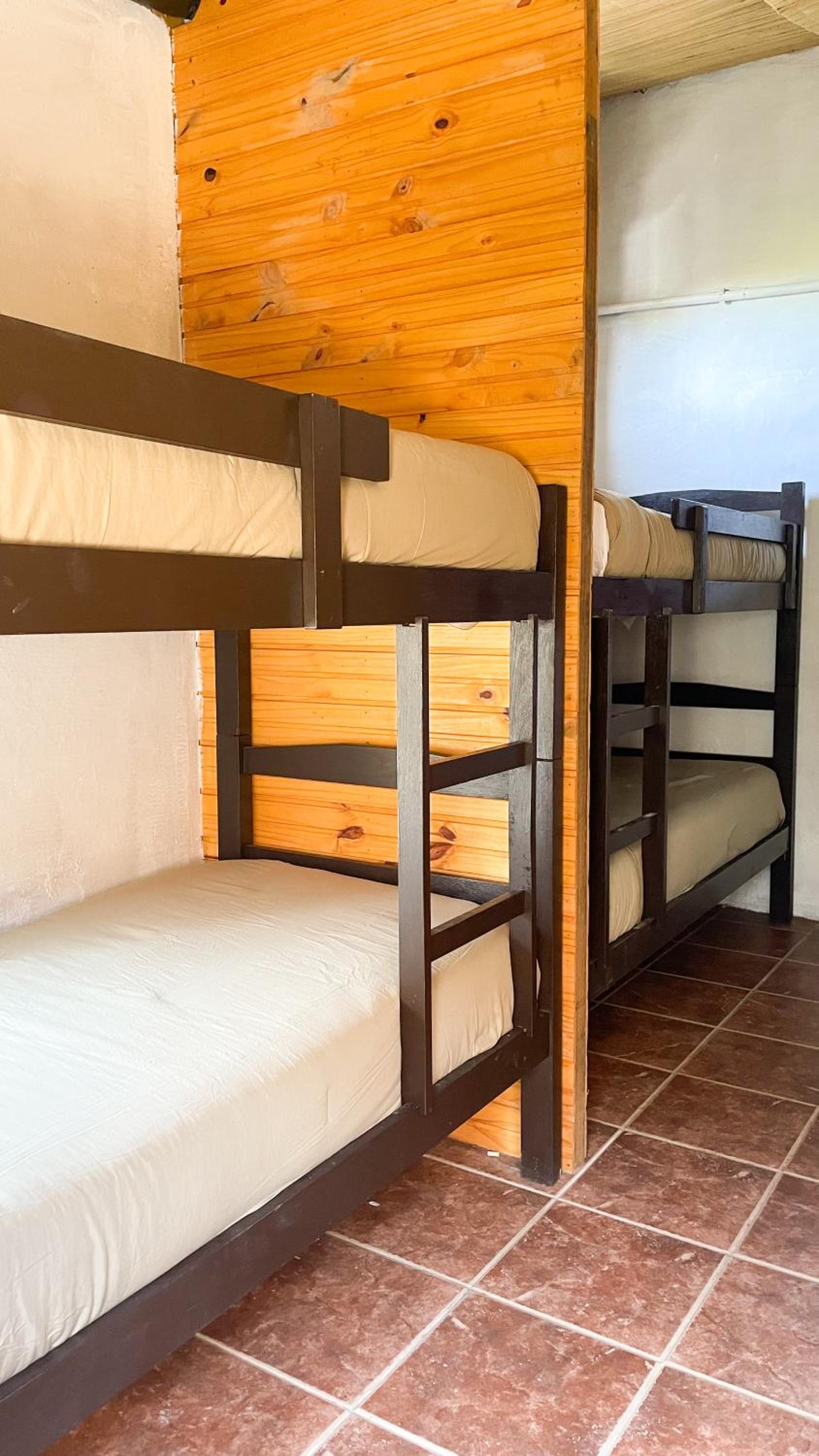 Bed in 8-Bed Dormitory Room photo 3