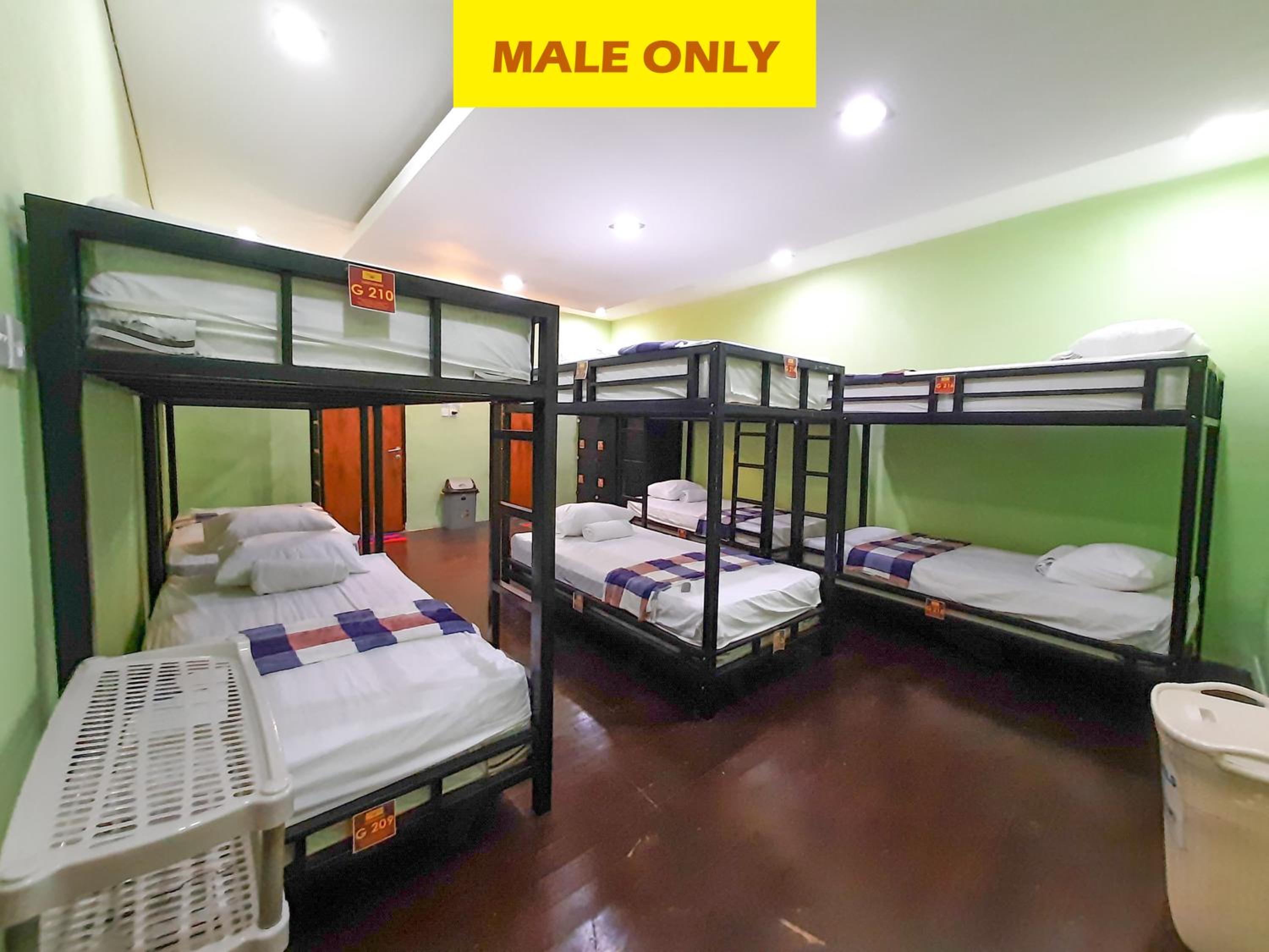 Bunk Bed in Male Dormitory Room  photo 3