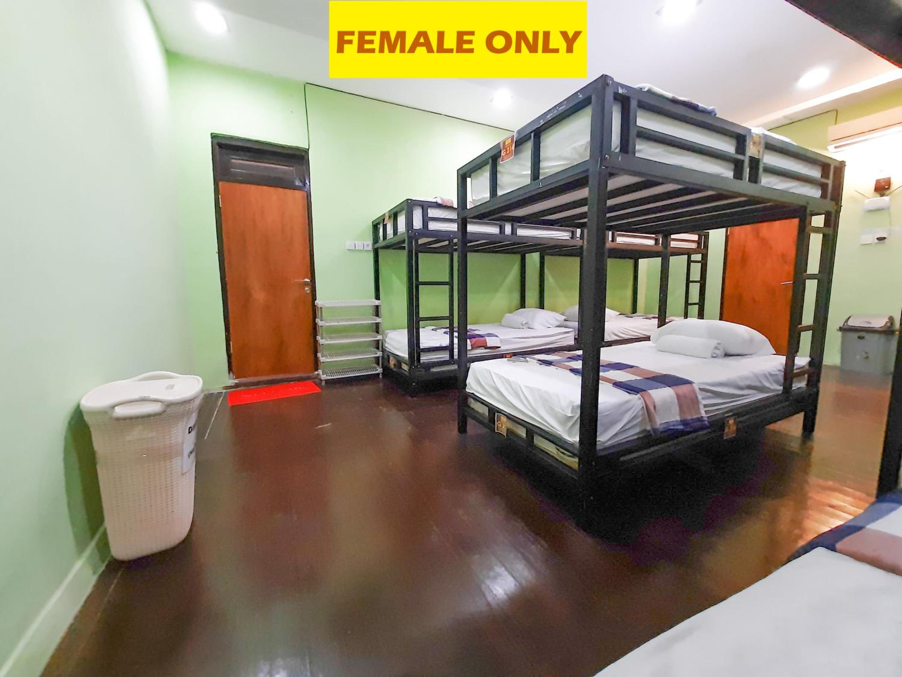 Bunk Bed in Female Dormitory Room   photo 2