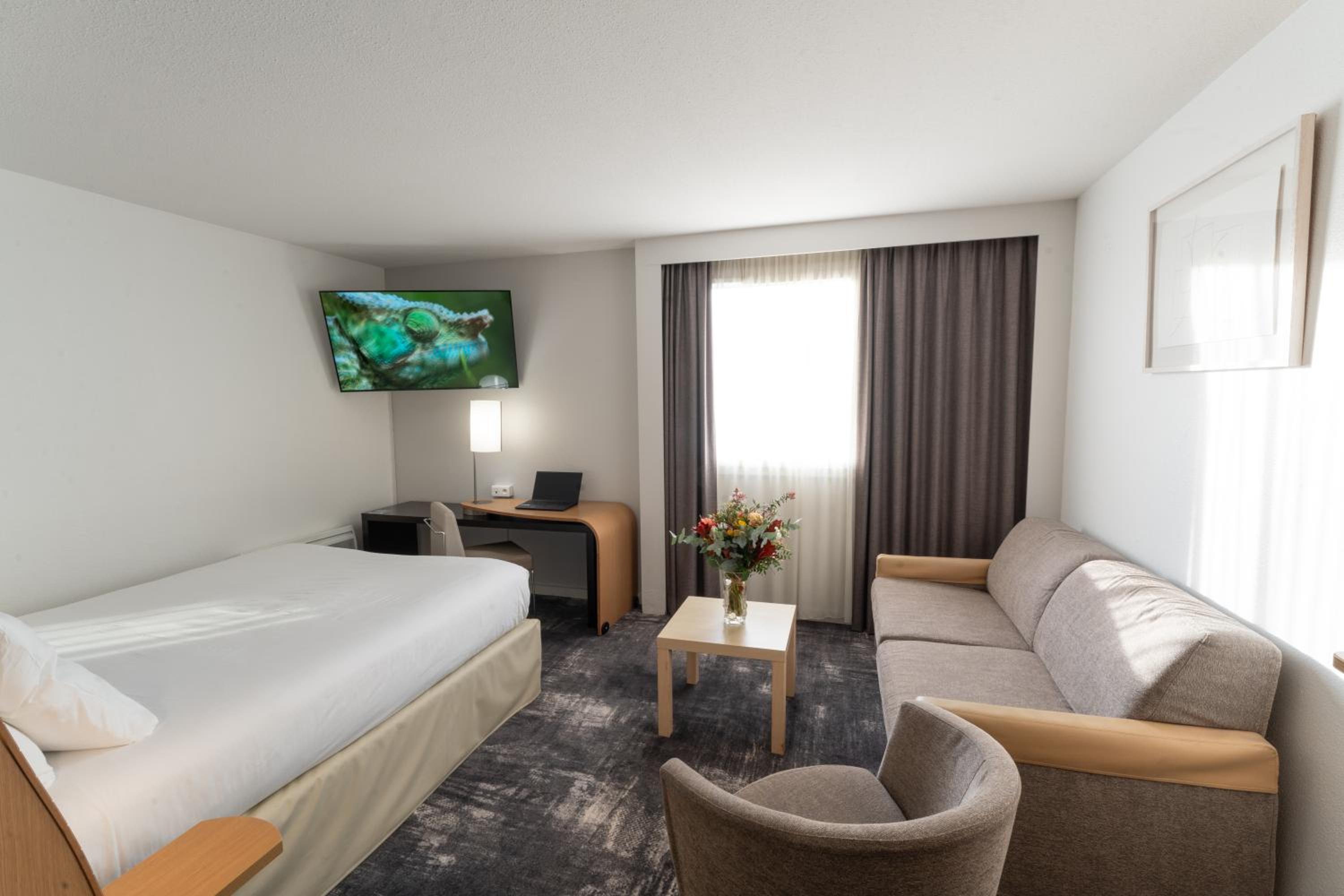 Executive Double Room with Sofa Bed - Photo 10
