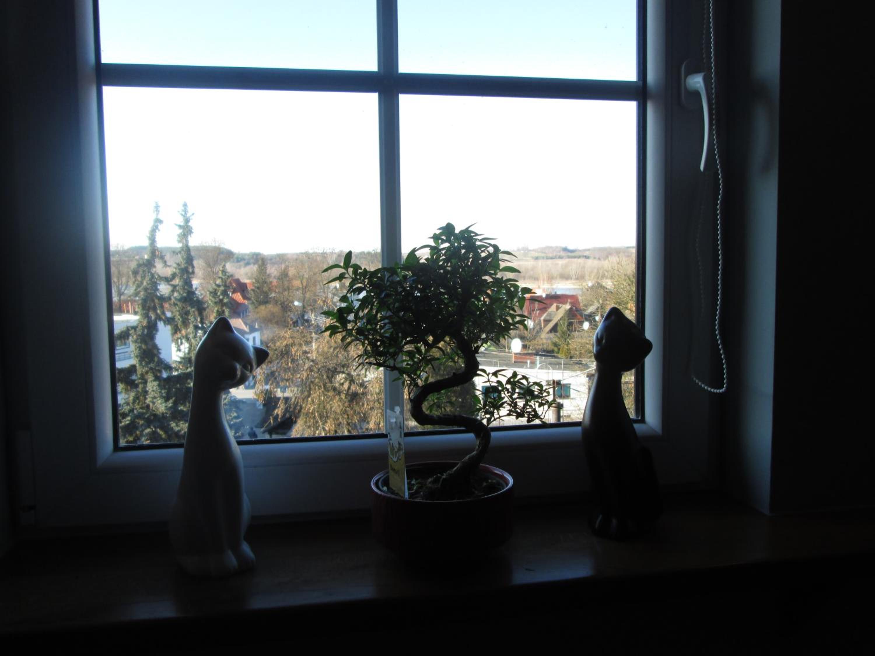 Studio Apartment - Photo 3