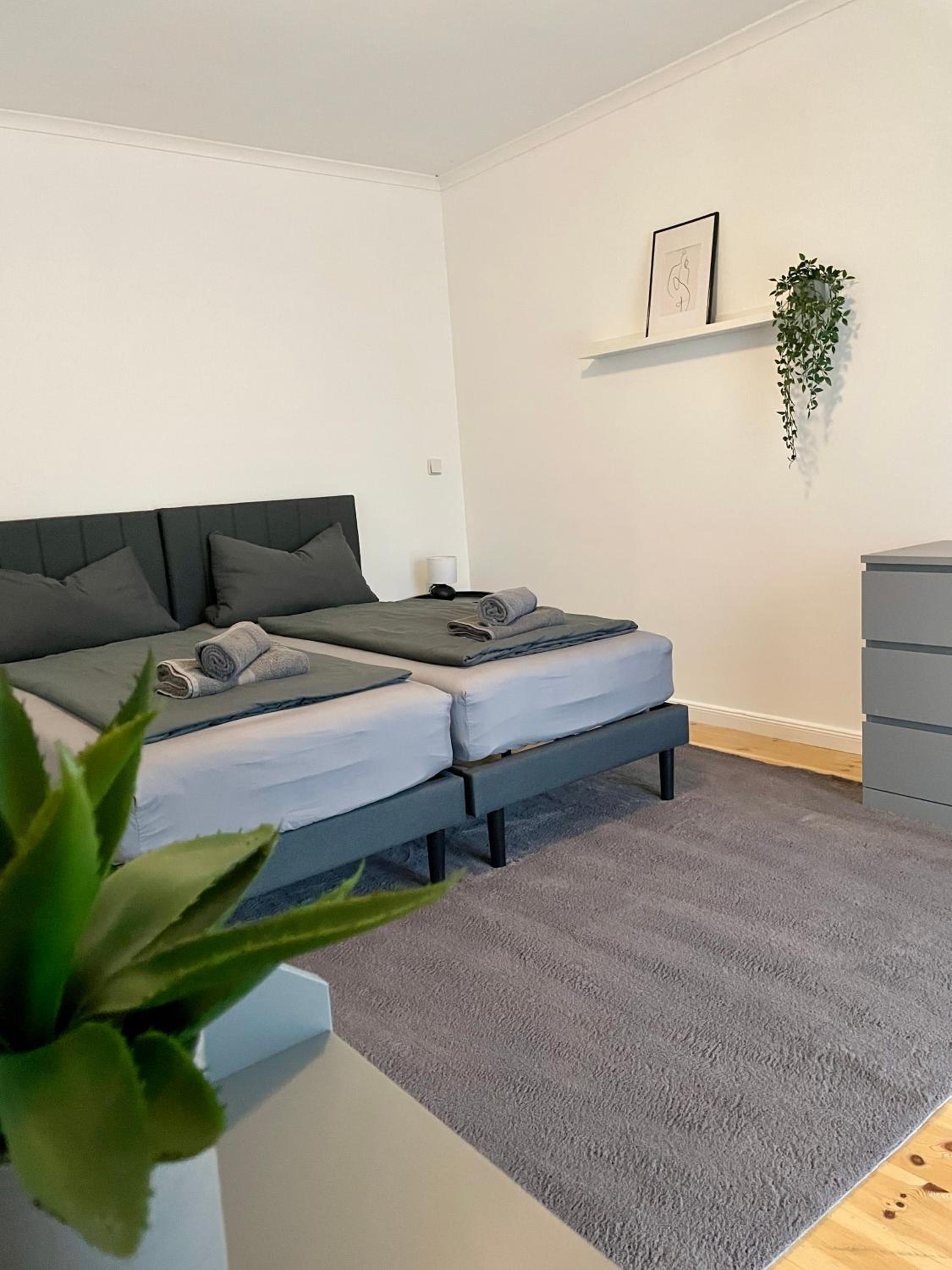 Apartment with Terrace photo 2