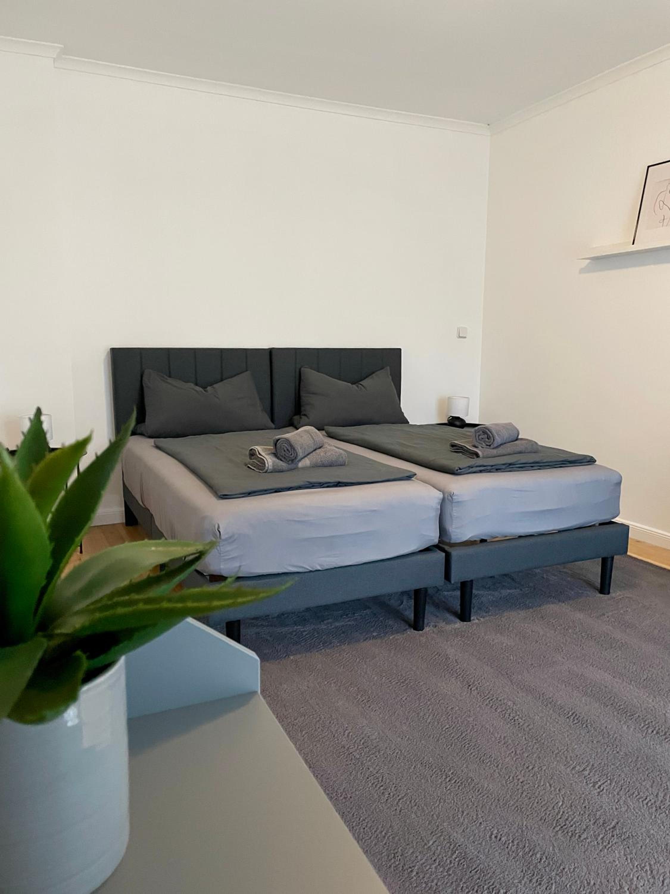 Apartment with Terrace photo 3