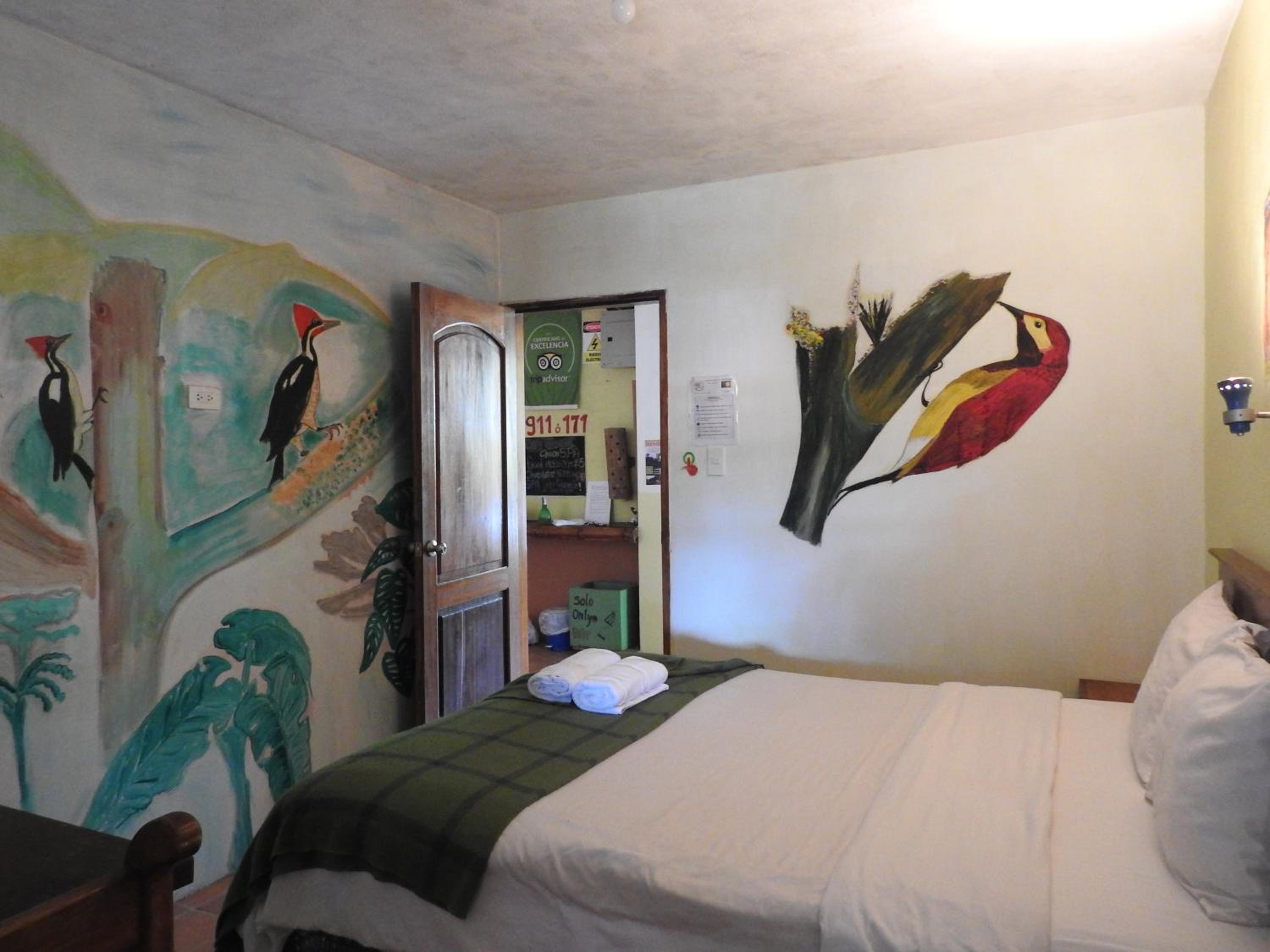 Standard Single Room photo 1