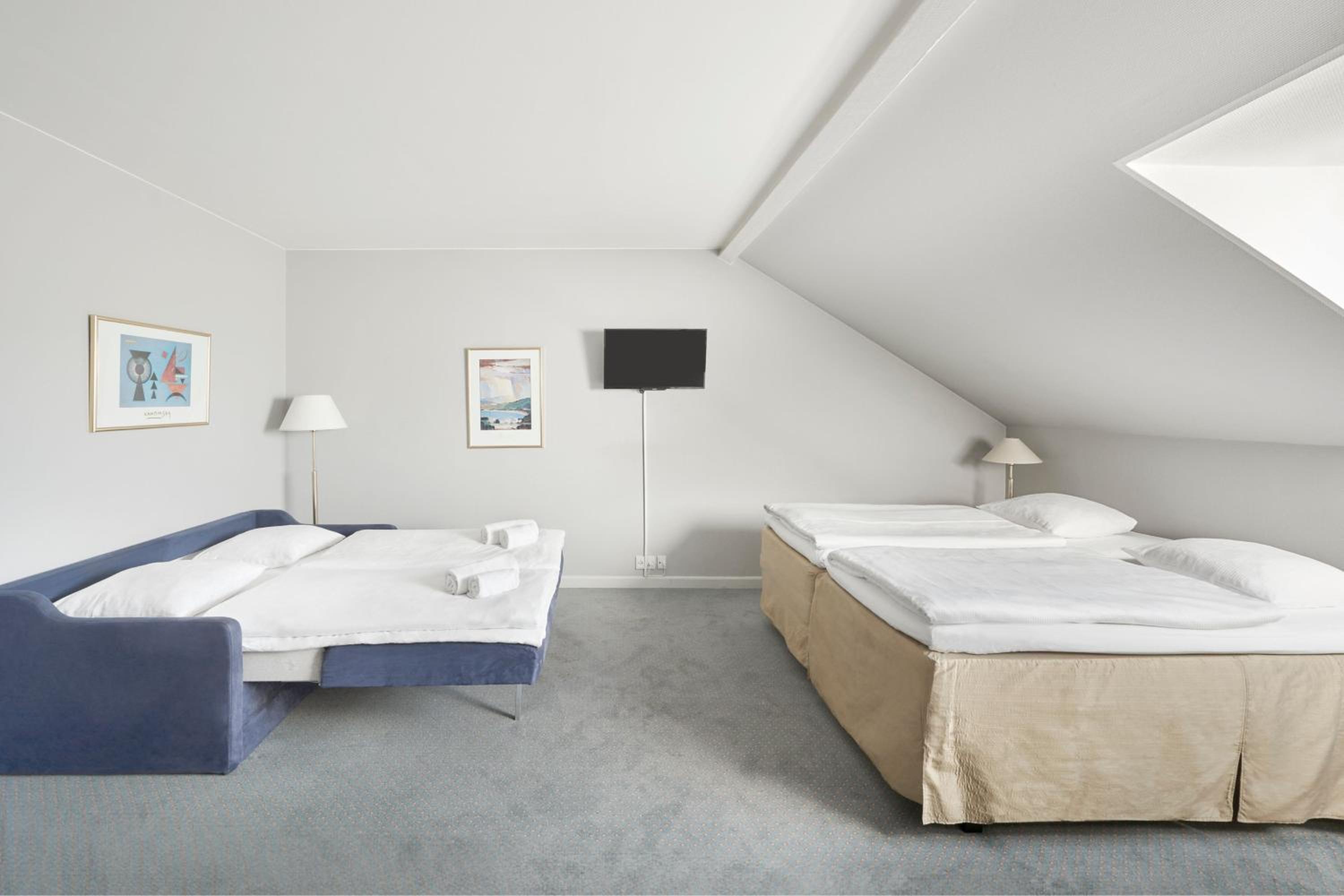 Standard Family Room with King Bed and Non-Private Sofa Bed