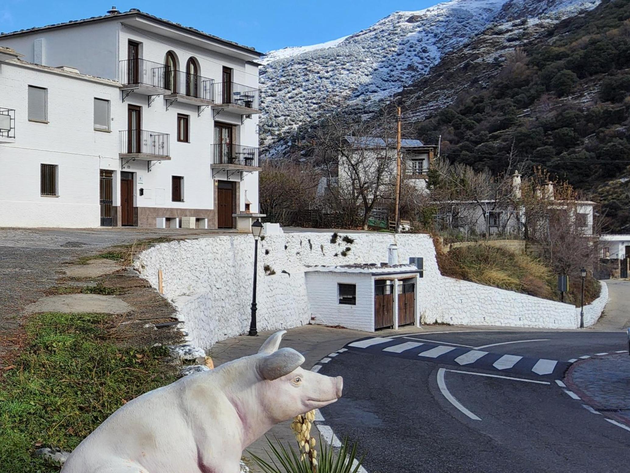 Casa de una habitación