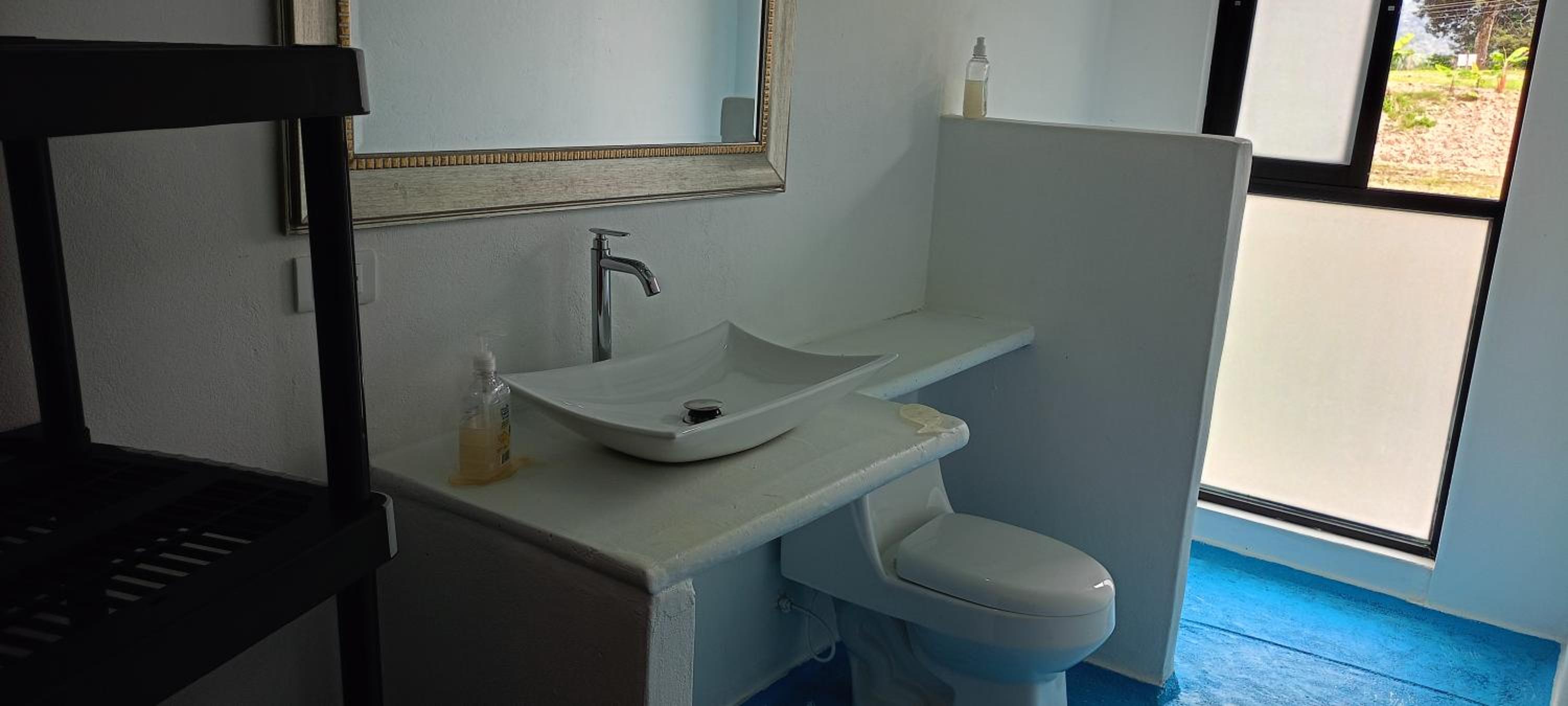 Twin Room photo 3