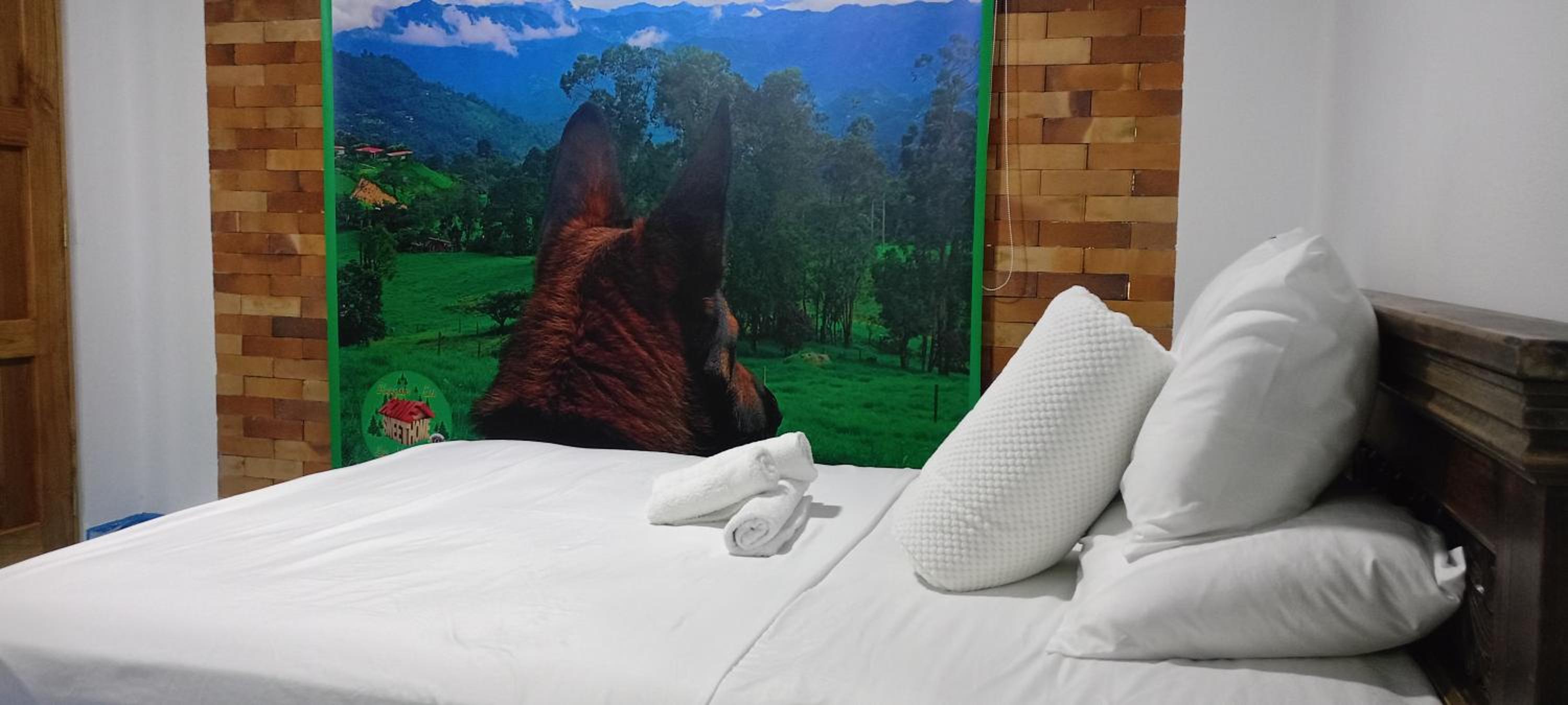 Twin Room photo 2
