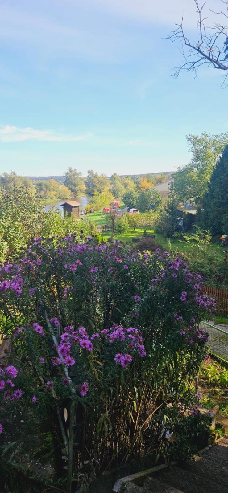 Bungalow with Garden View photo 2