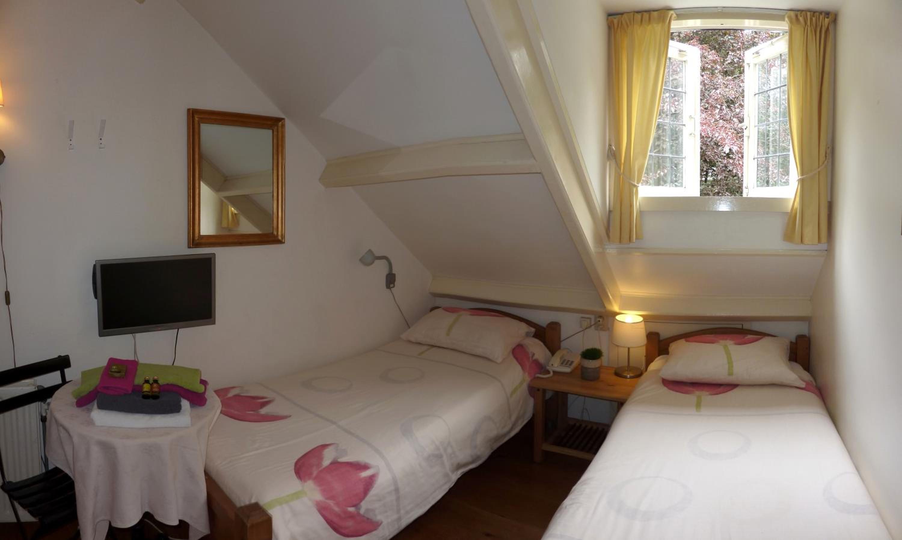 Single Room photo 1