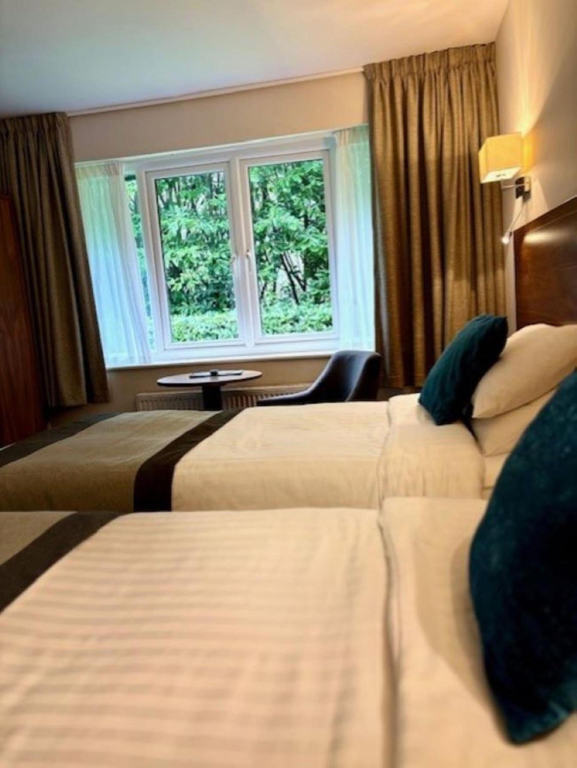 Standard Twin Lodge - Photo 4