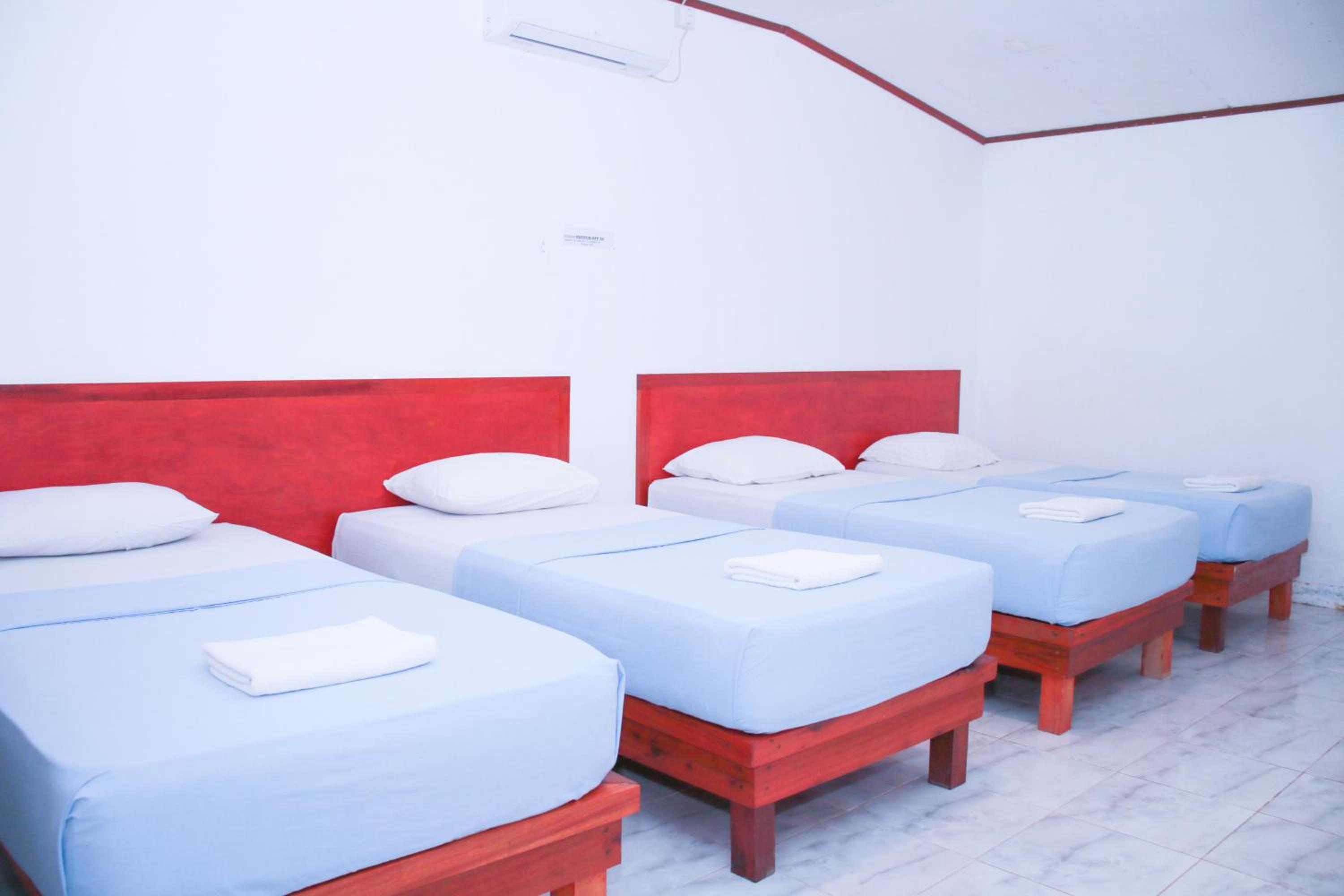 Bed in 4-Bed Dormitory Room photo 1
