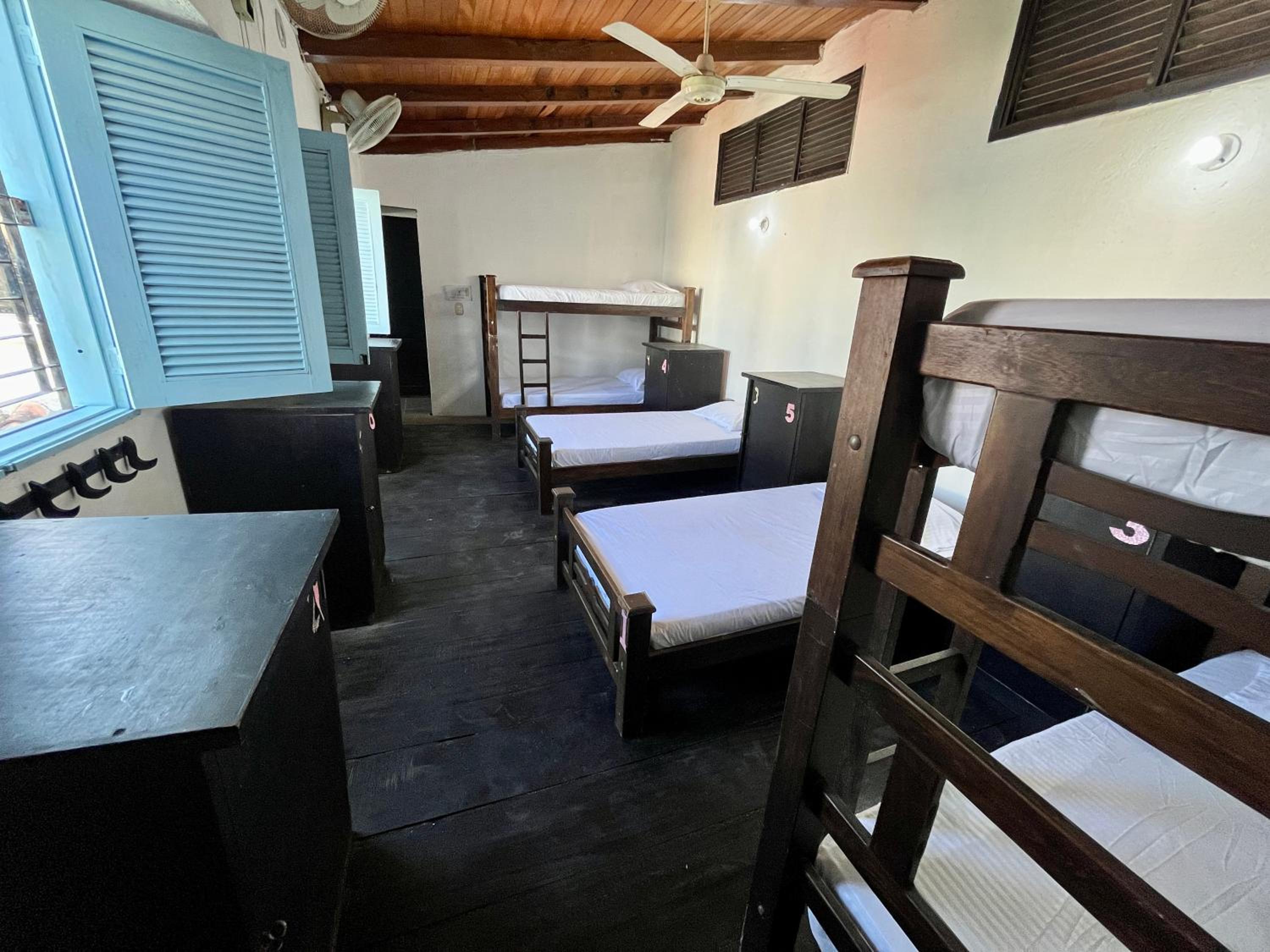 Bed in 6-Bed Mixed Dormitory Room photo 1