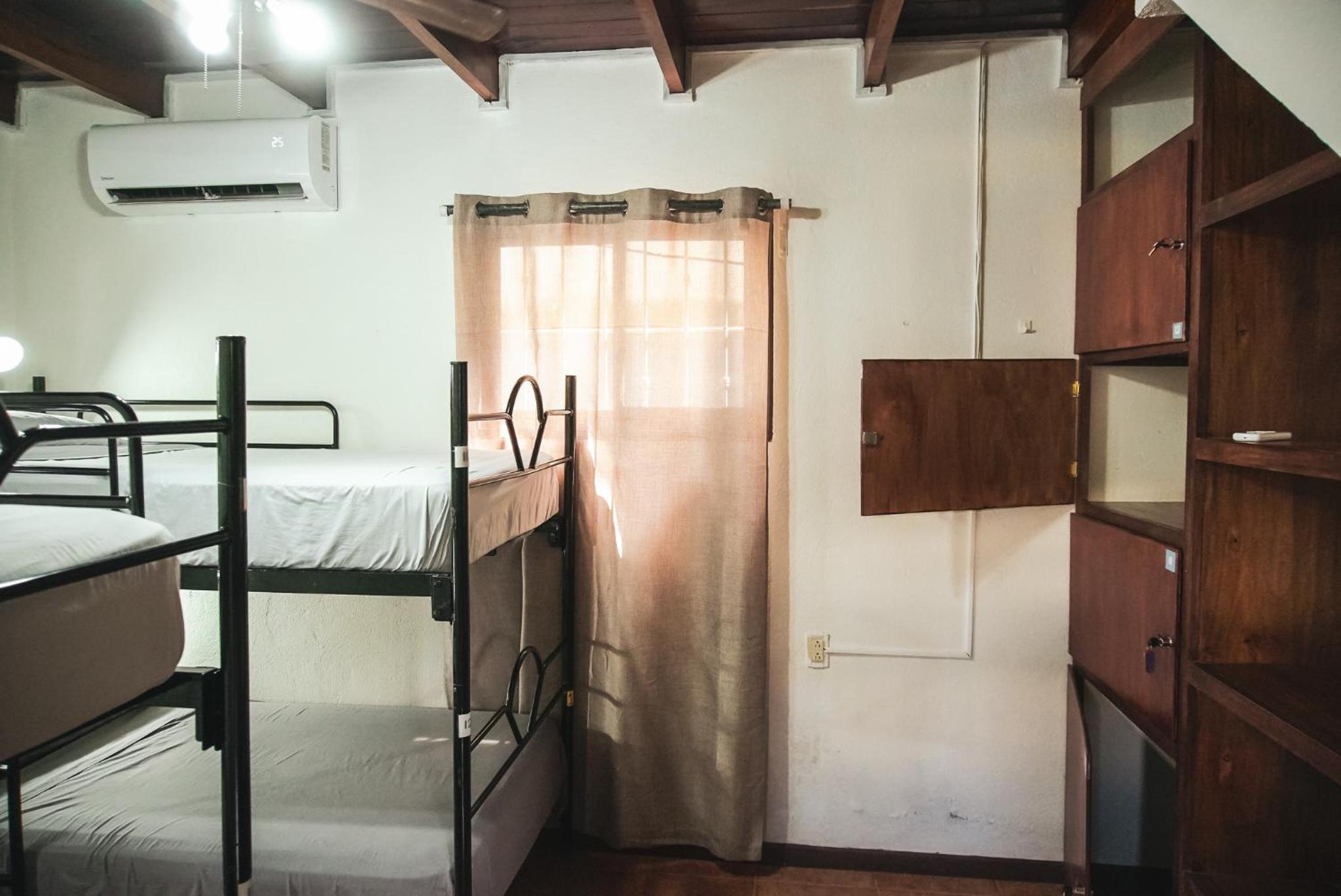 Bed in 4-Bed Mixed Dormitory Room photo 1