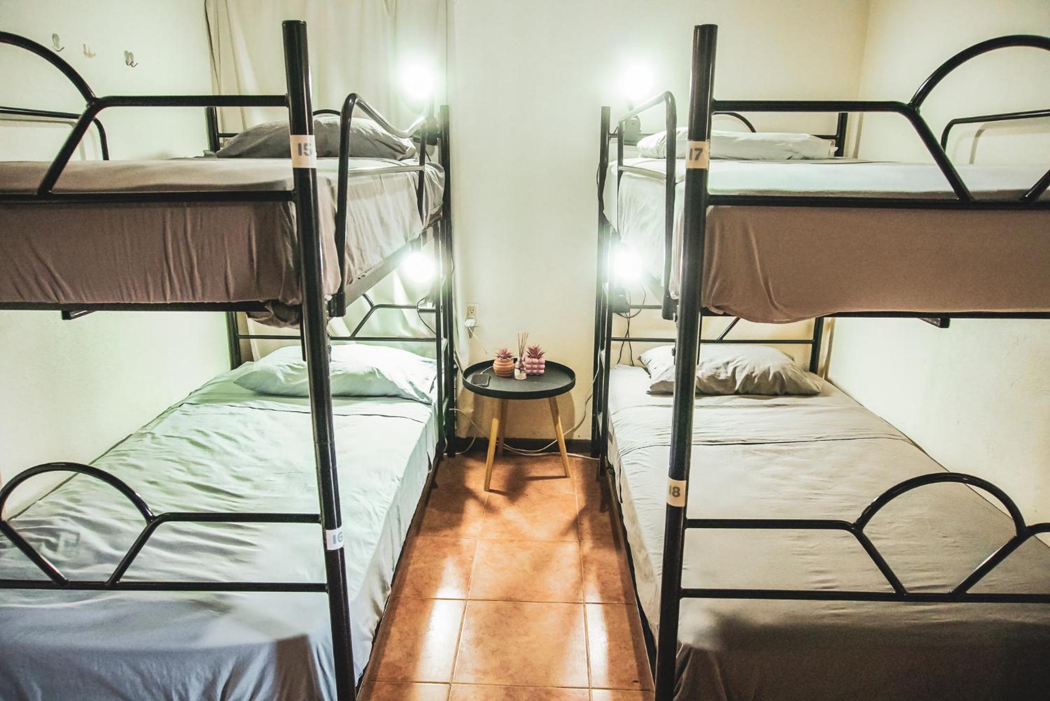 Bunk Bed in Female Dormitory Room   photo 1