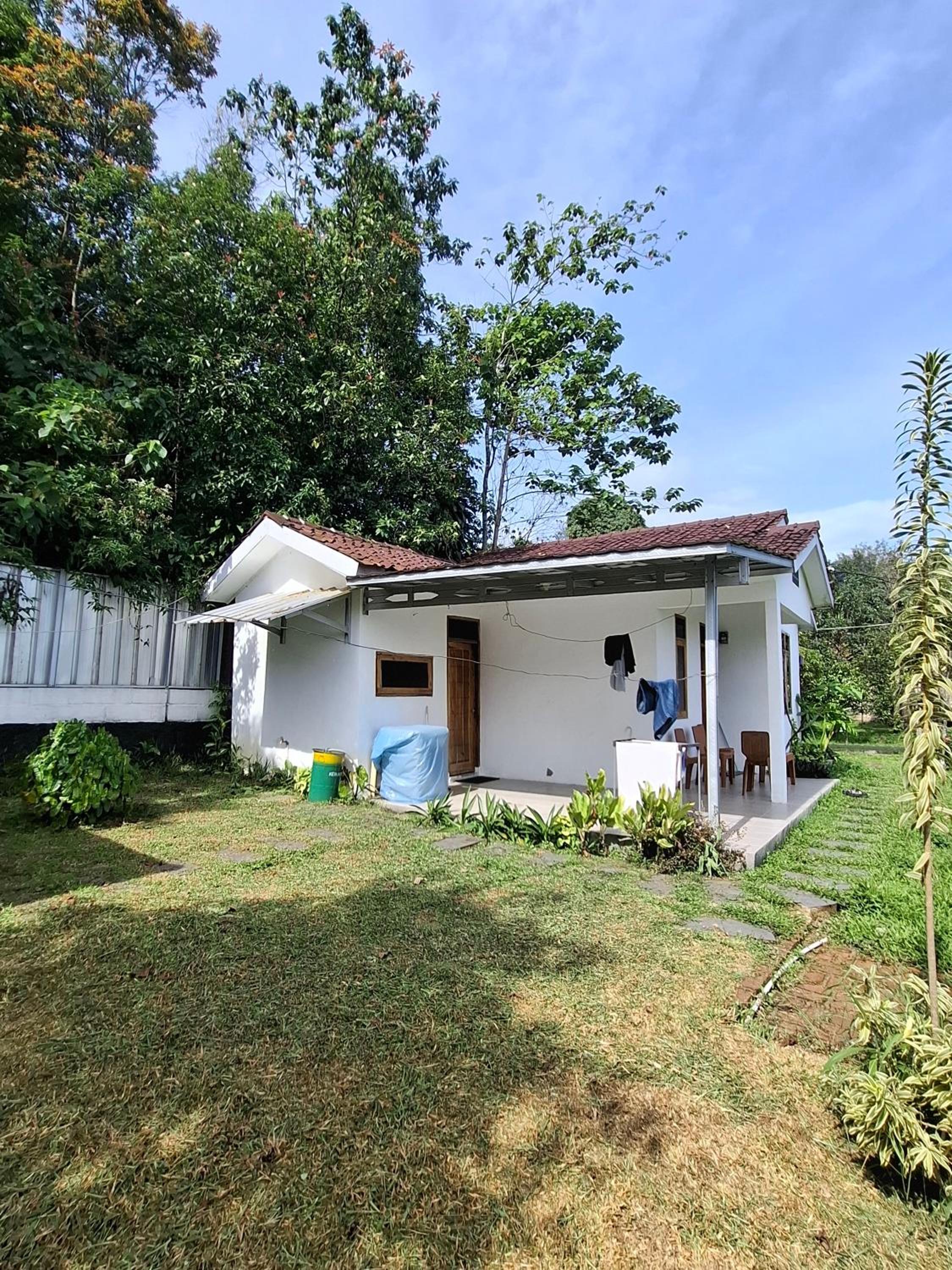 Deluxe Villa photo 3
