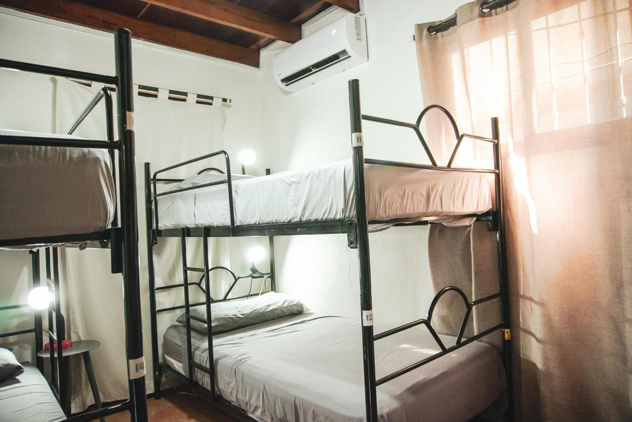 Bed in 4-Bed Mixed Dormitory Room photo 3