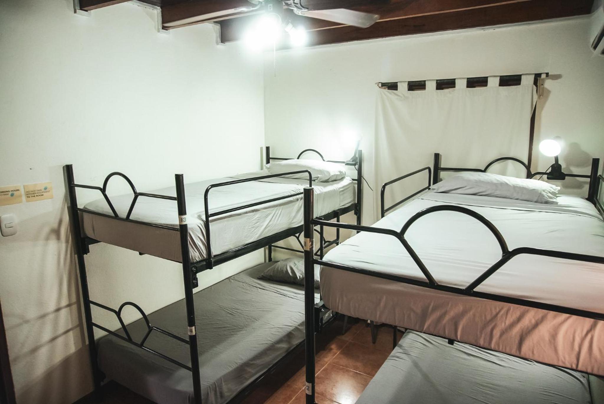 Bed in 4-Bed Mixed Dormitory Room