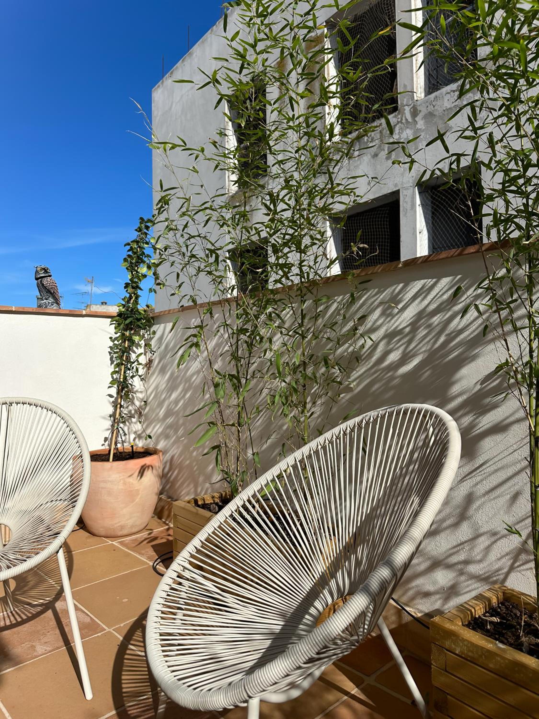 Suite with Terrace