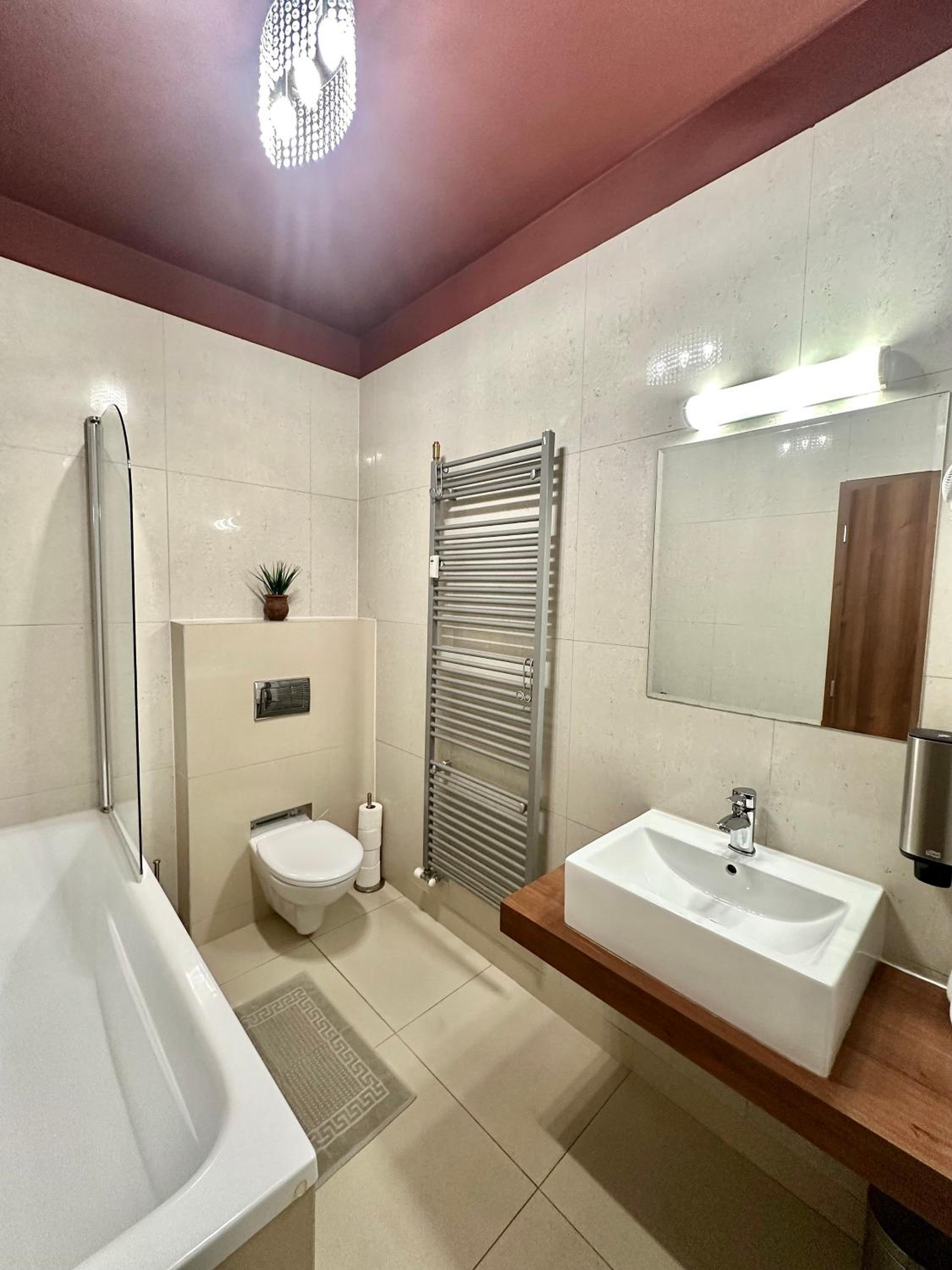 One-Bedroom Apartment with Balcony photo 3