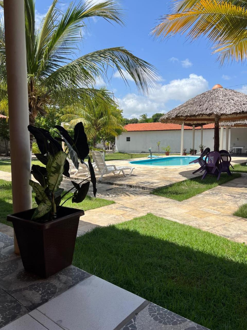 Deluxe Double or Twin Room with Pool View photo 3
