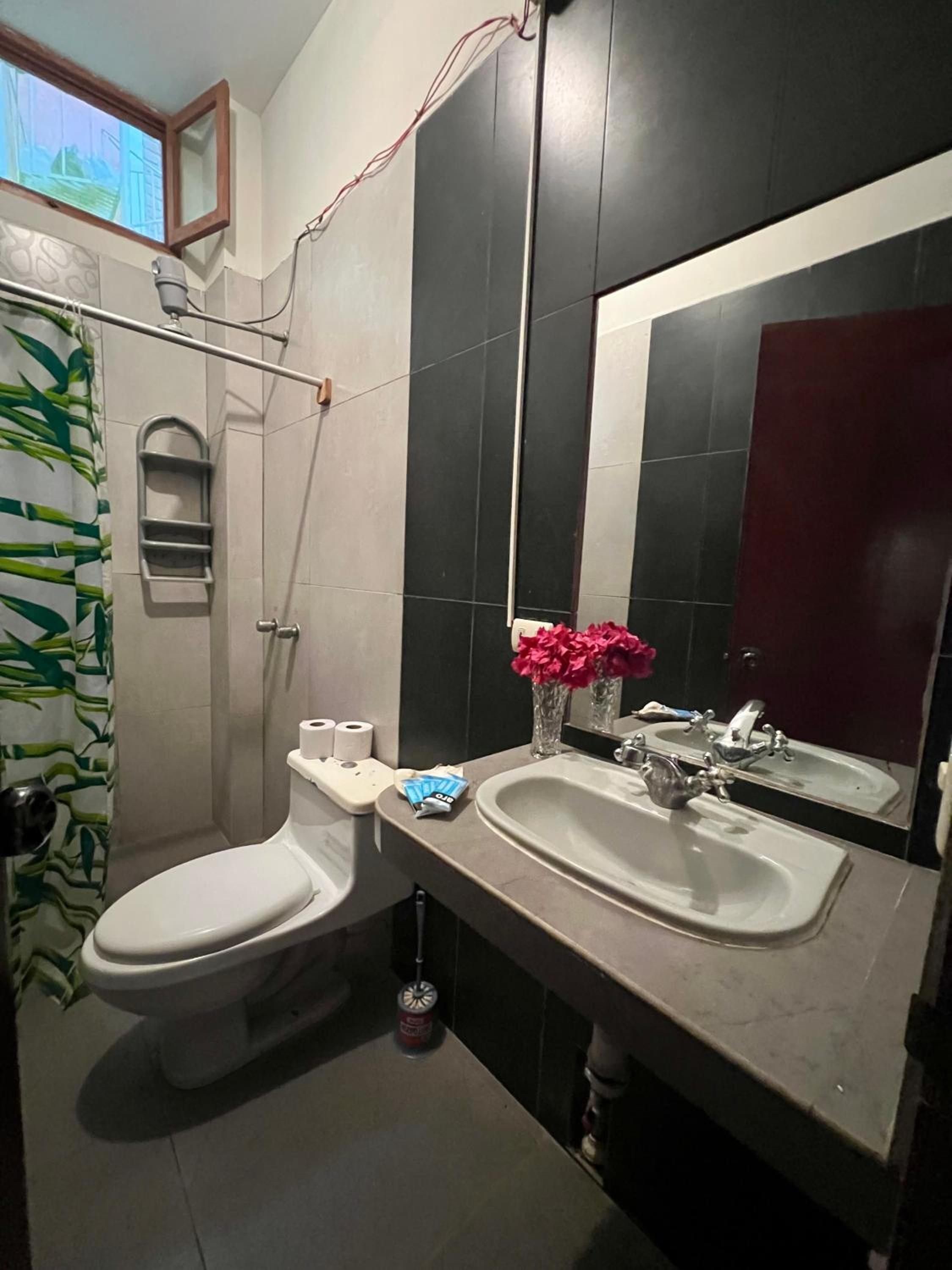Family Room with Bathroom photo 3