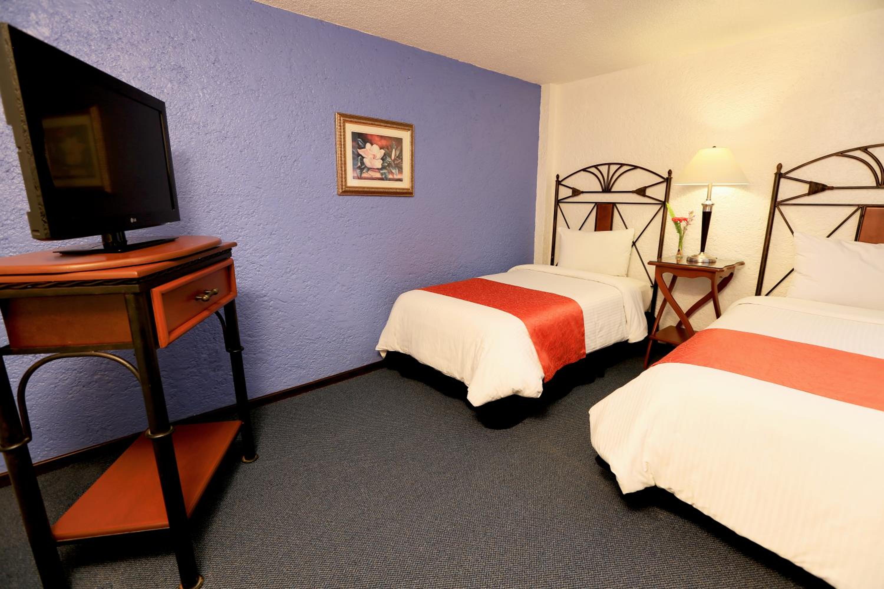 Suite - Photo 4