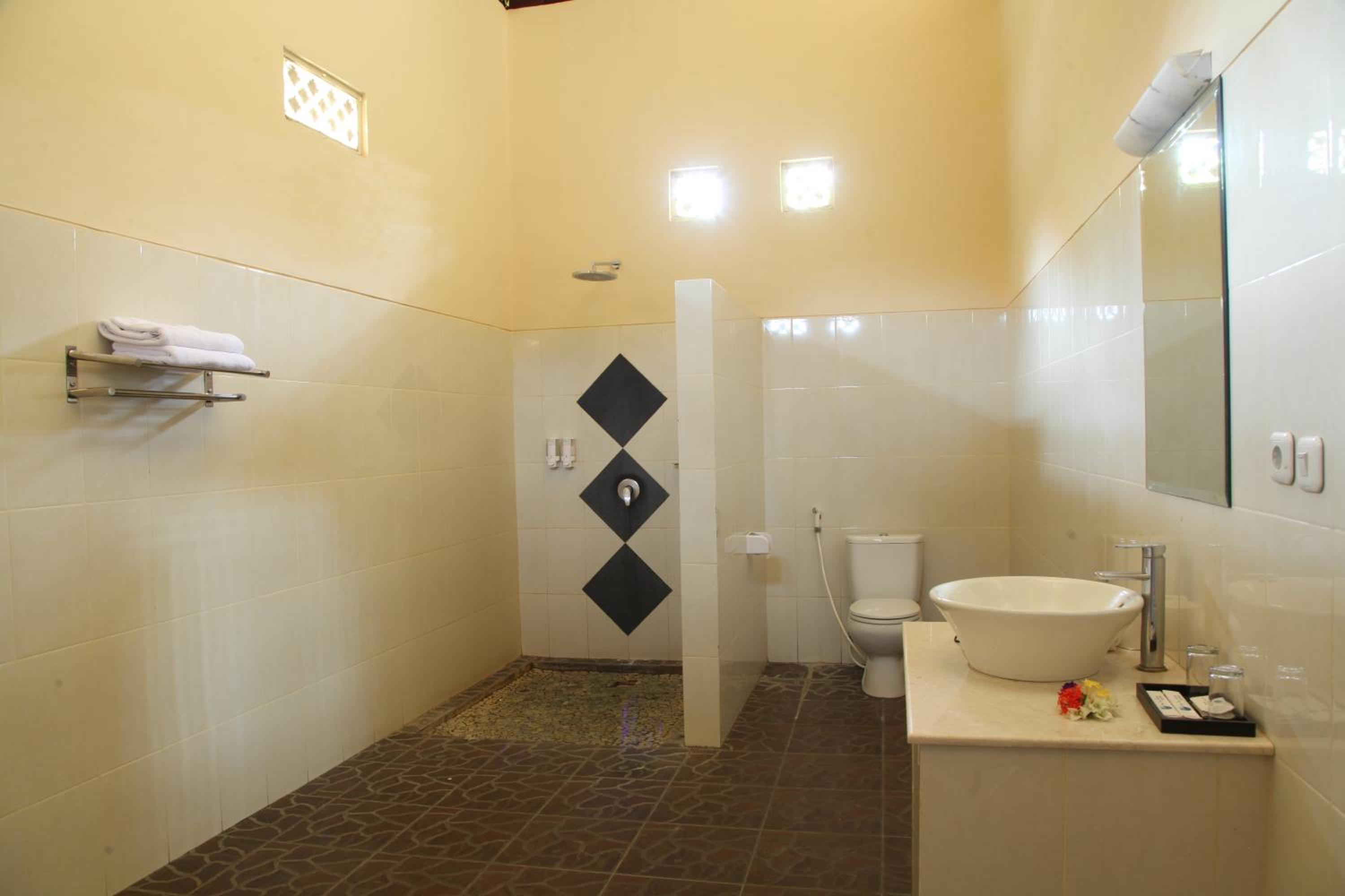 Deluxe Double or Twin Room - Photo 4