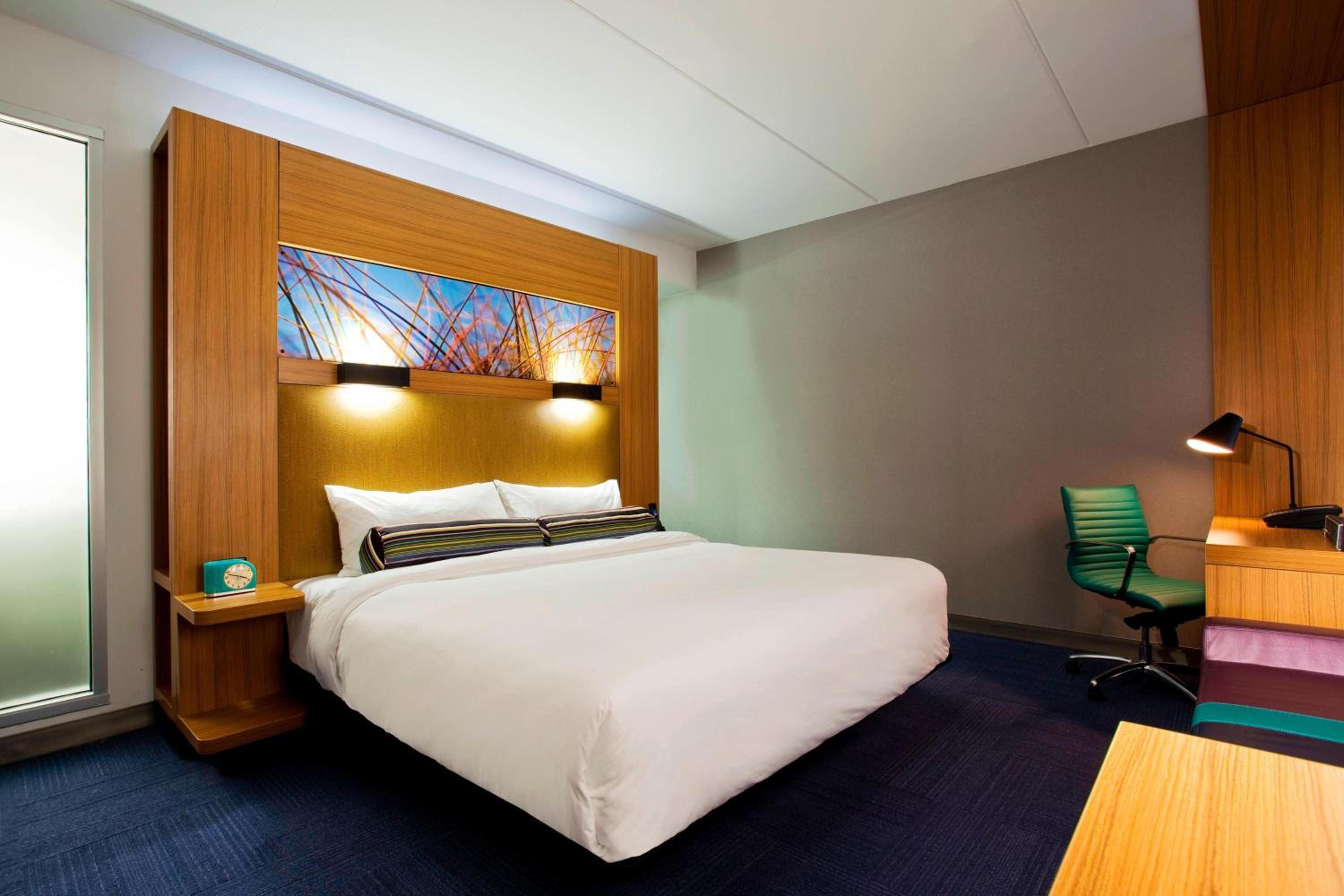 Allergy Free Room, Guest room, 1 King - Photo 2