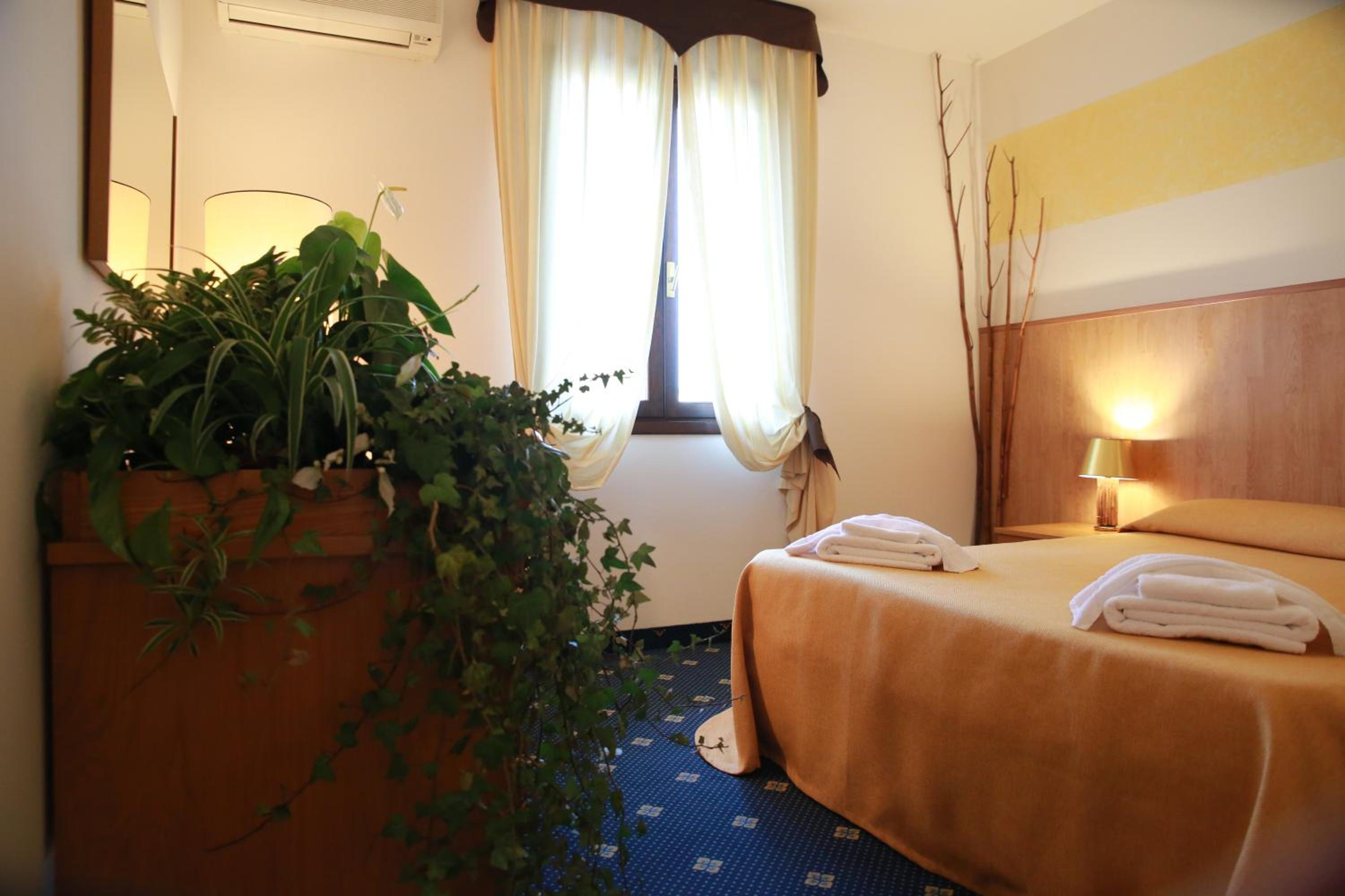 Standard Double or Twin Room photo 1